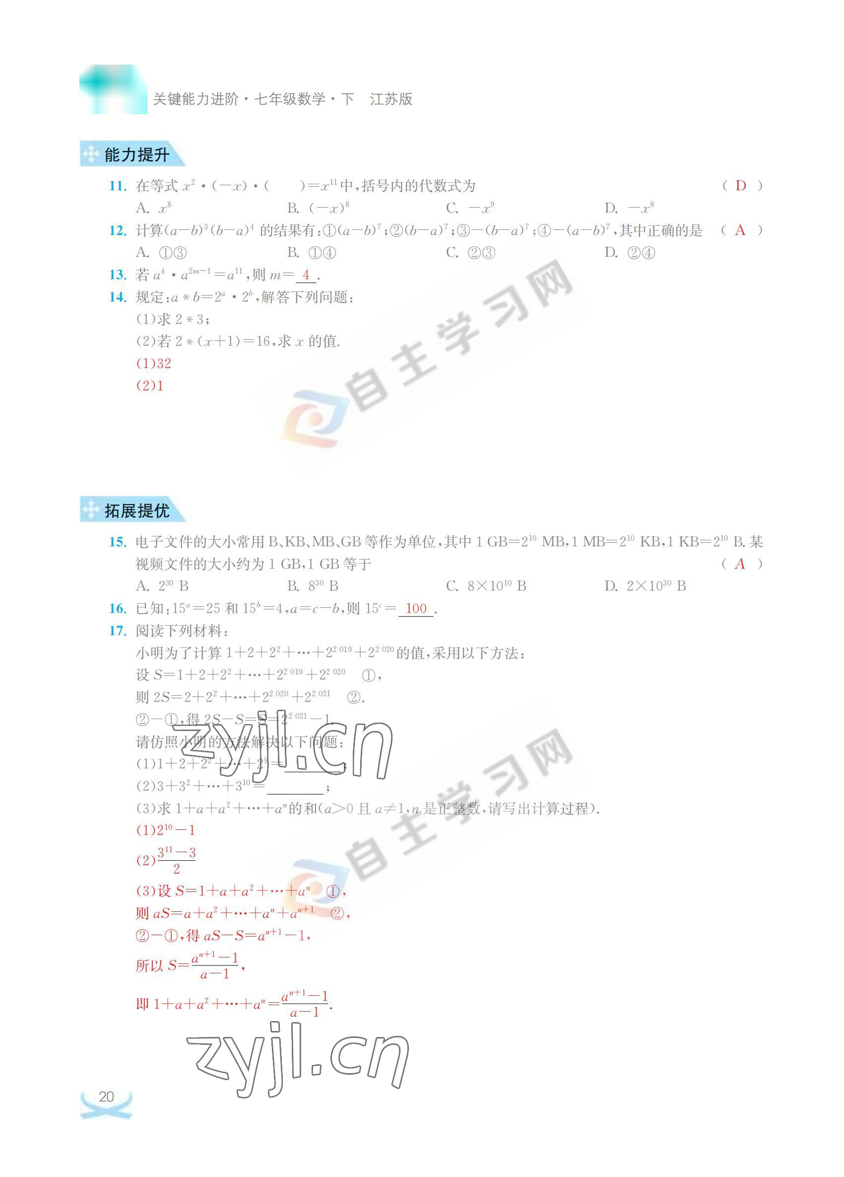 2022年關鍵能力進階七年級數學下冊江蘇版 參考答案第20頁