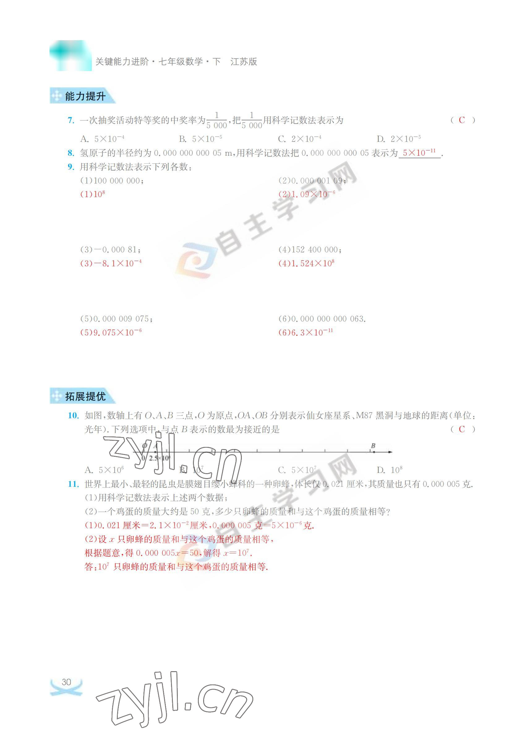 2022年關鍵能力進階七年級數學下冊江蘇版 參考答案第30頁
