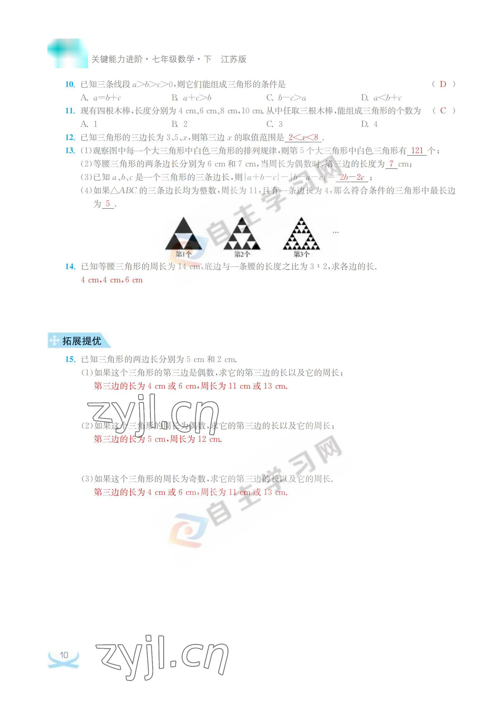 2022年關鍵能力進階七年級數學下冊江蘇版 參考答案第10頁