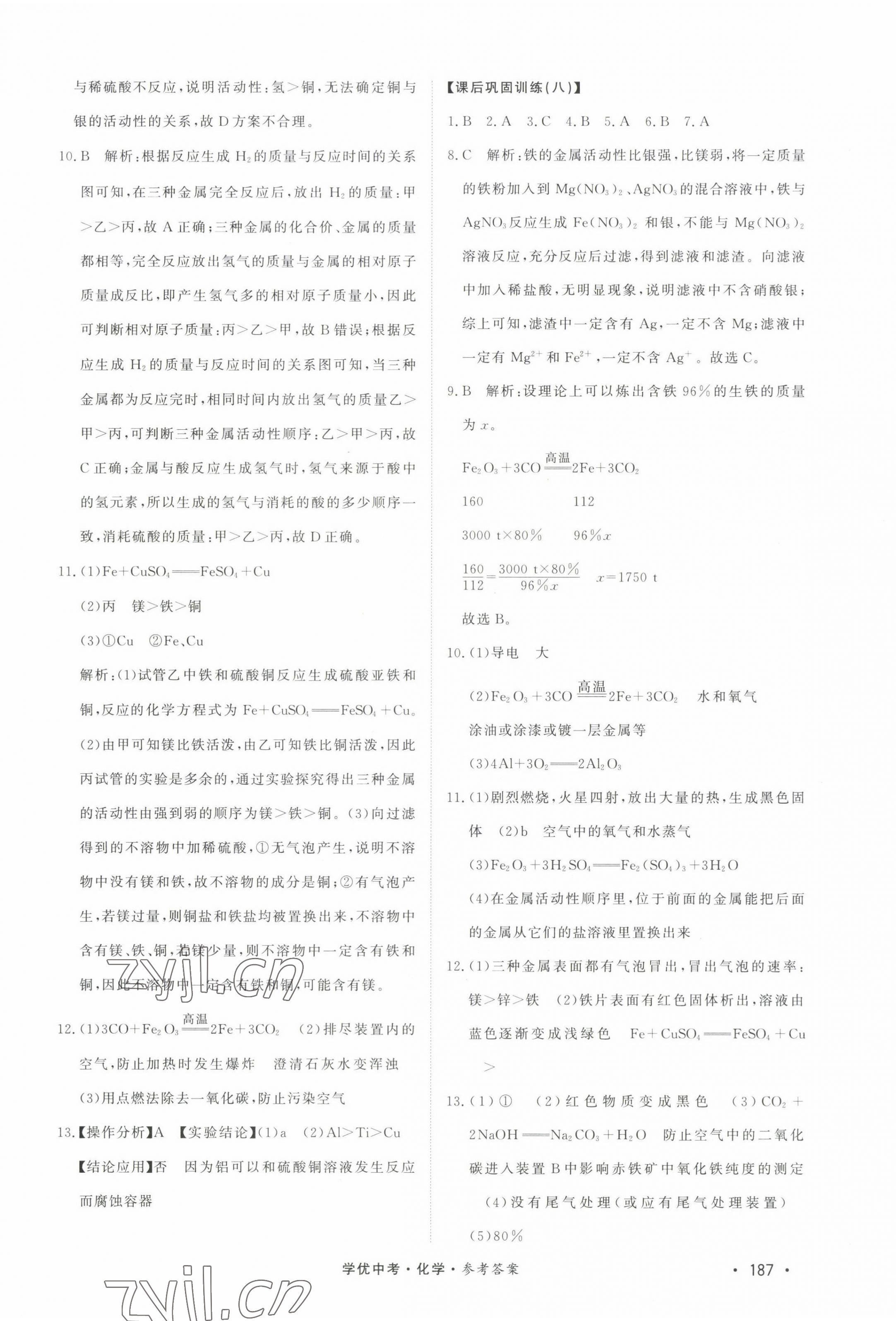 2022年學(xué)優(yōu)中考化學(xué)西藏專版 第9頁