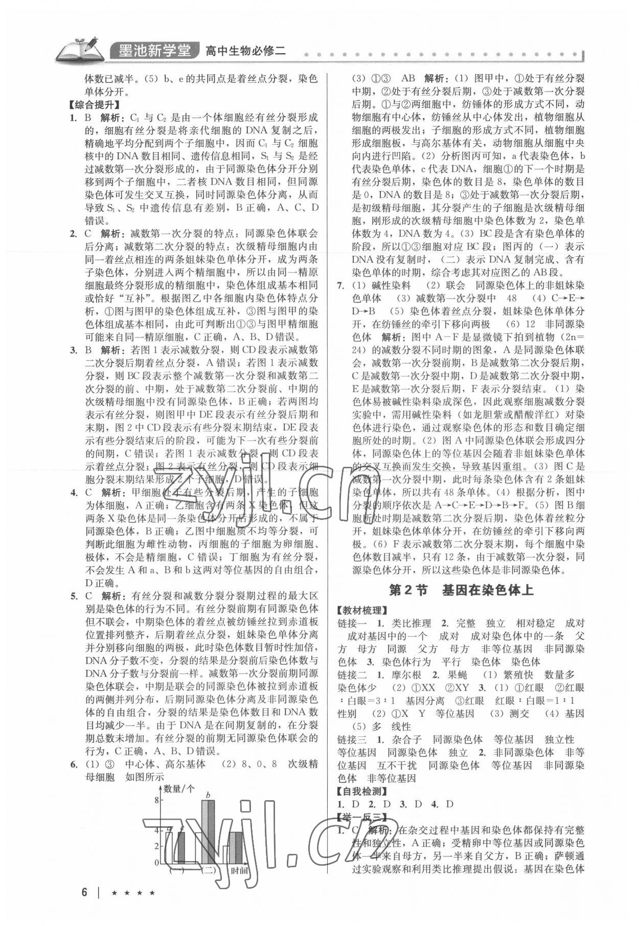 2022年墨池新學(xué)堂高中生物必修2人教版 第6頁