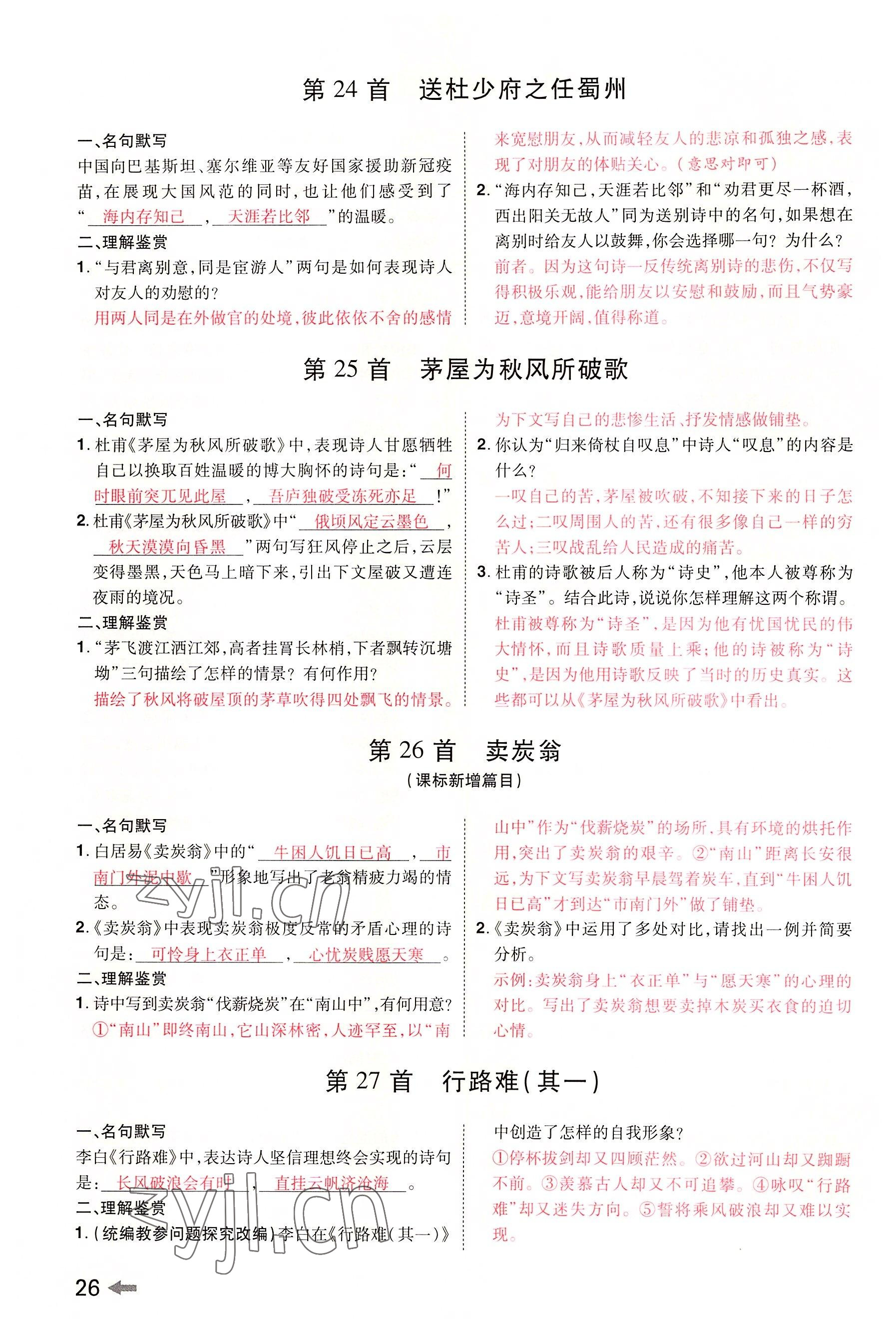 2022年領(lǐng)揚(yáng)文化中考研究語文河南專版 參考答案第25頁