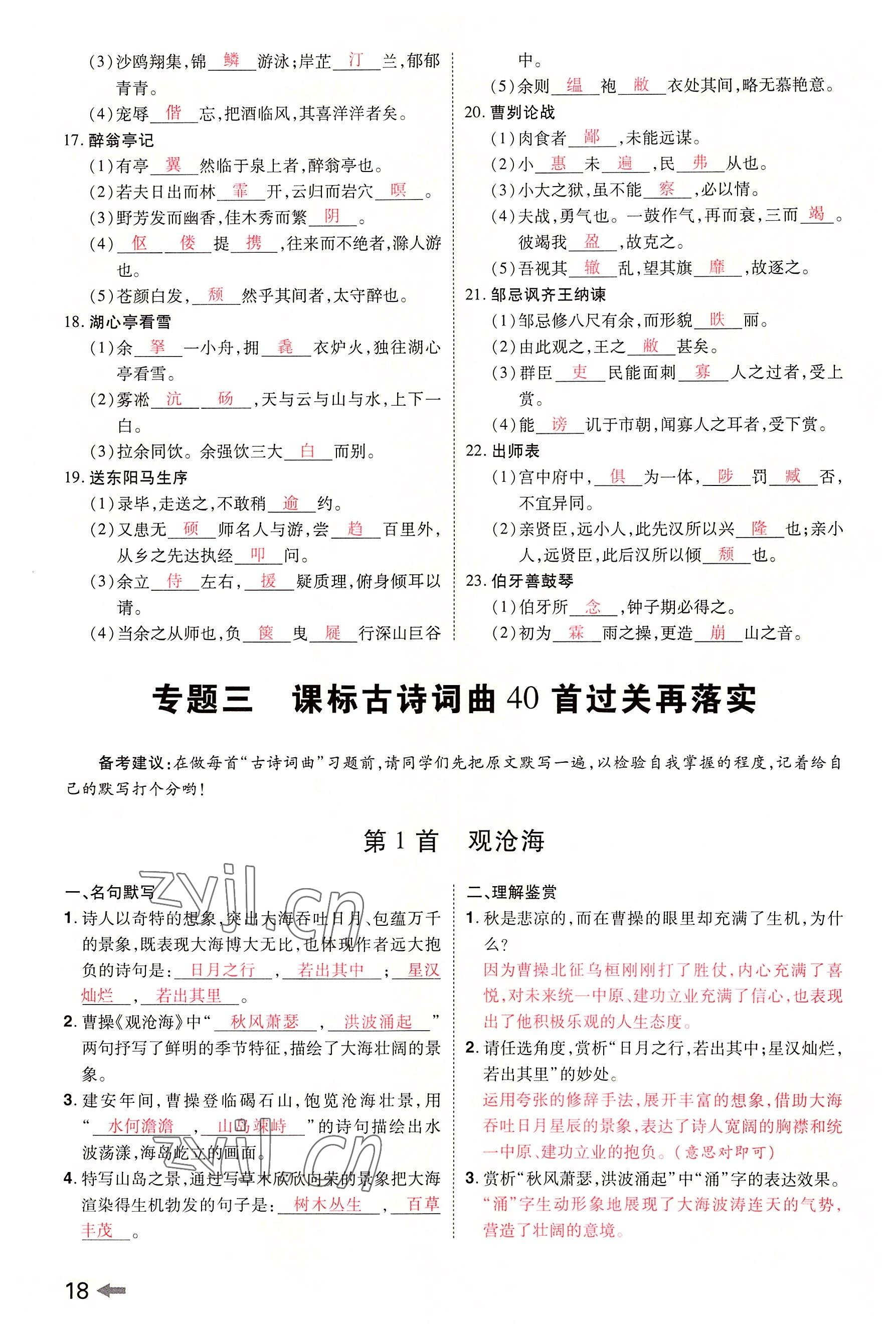 2022年領(lǐng)揚文化中考研究語文河南專版 參考答案第17頁