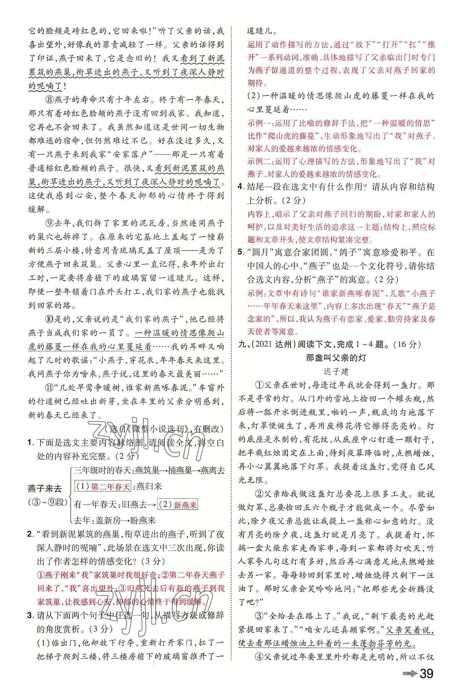 2022年領(lǐng)揚(yáng)文化中考研究語(yǔ)文河南專(zhuān)版 參考答案第73頁(yè)
