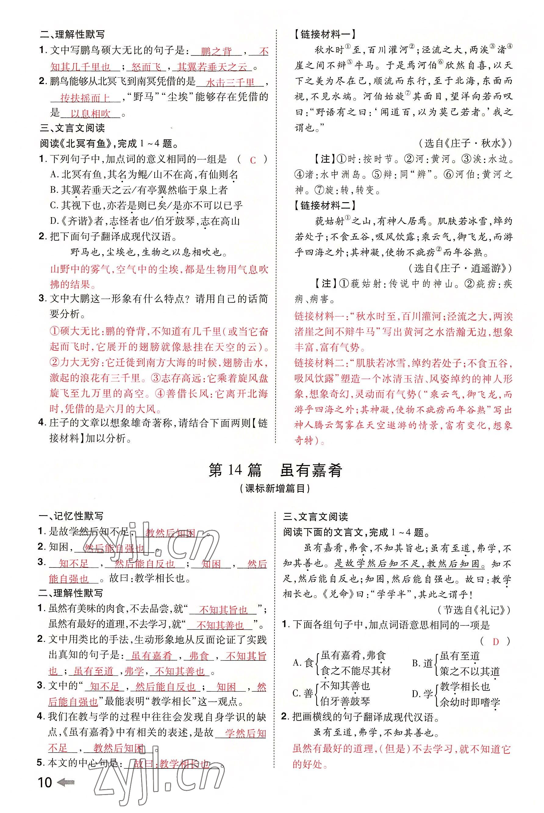 2022年領(lǐng)揚(yáng)文化中考研究語文河南專版 參考答案第9頁