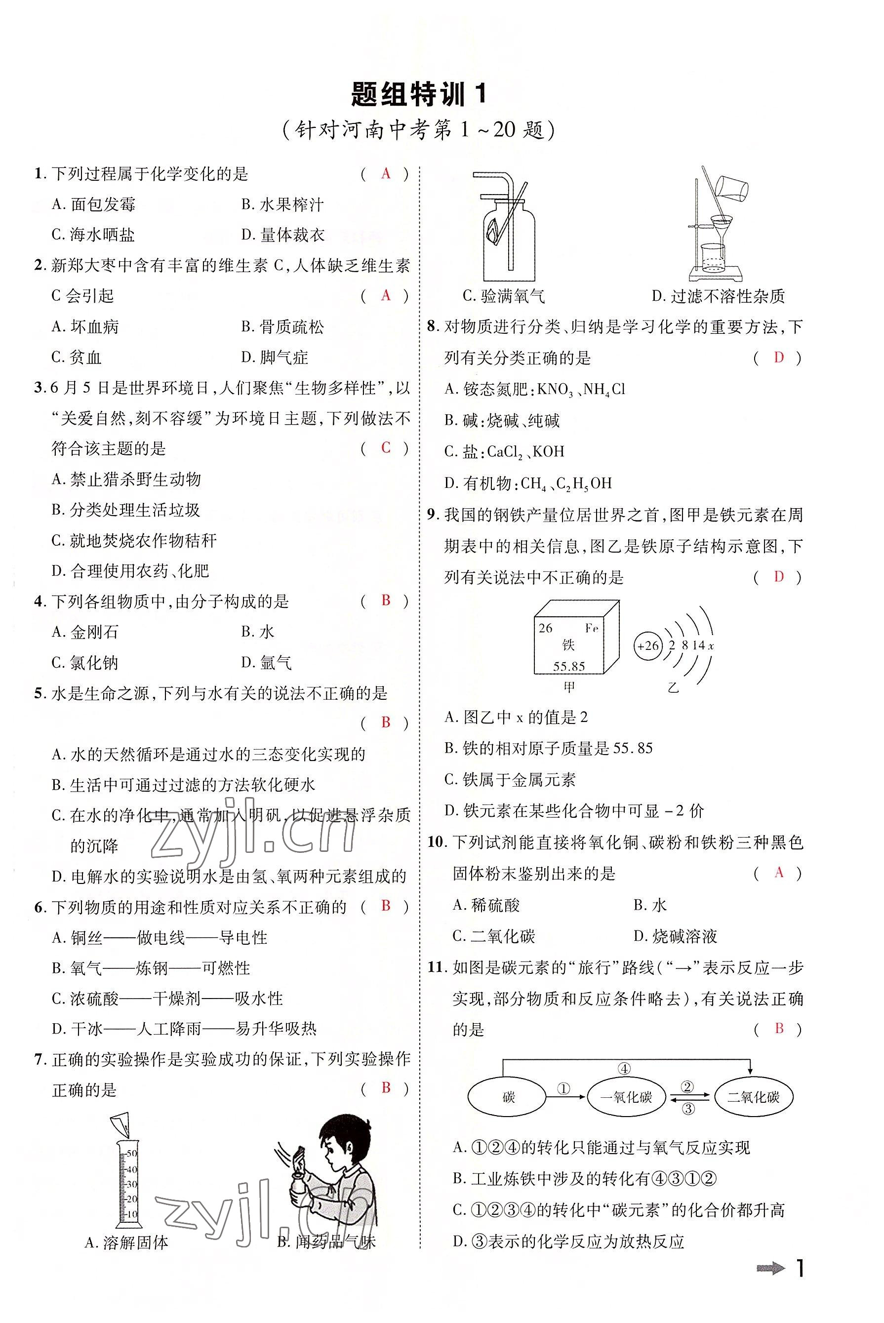 2022年領(lǐng)揚(yáng)文化中考研究化學(xué)河南專版 參考答案第1頁(yè)