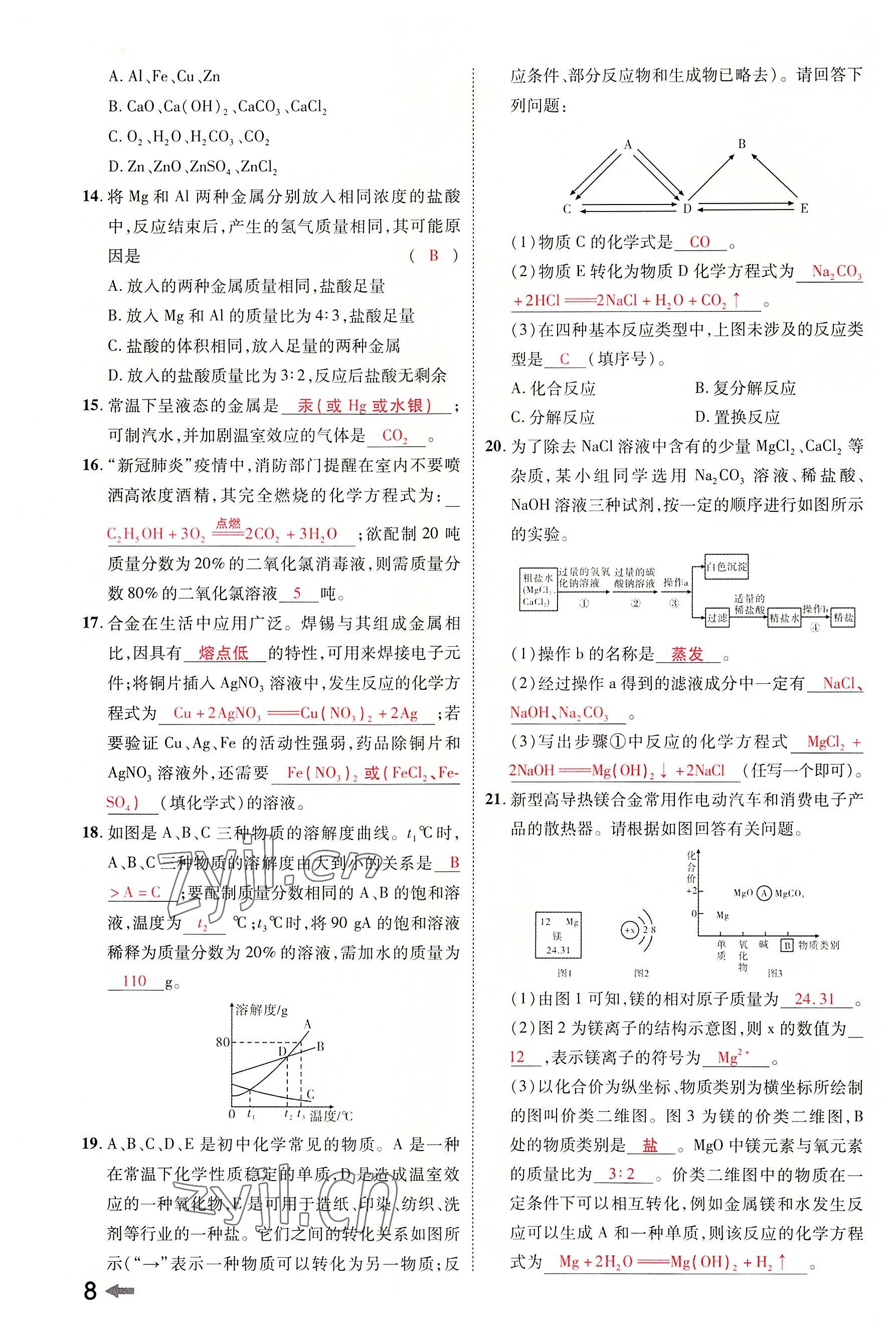 2022年領(lǐng)揚(yáng)文化中考研究化學(xué)河南專版 參考答案第8頁(yè)
