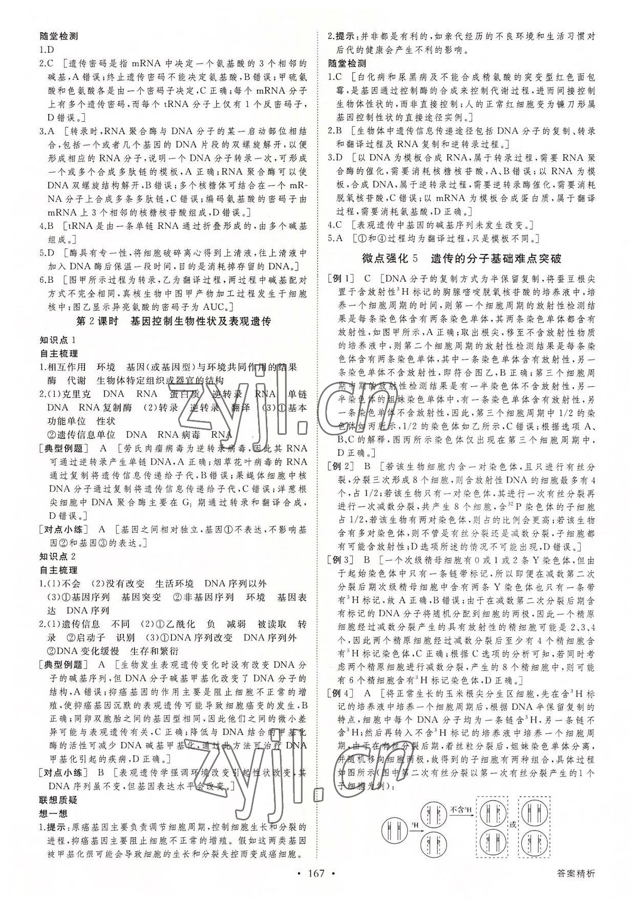 2022年創(chuàng)新設(shè)計(jì)高中生物必修2浙科版 第11頁