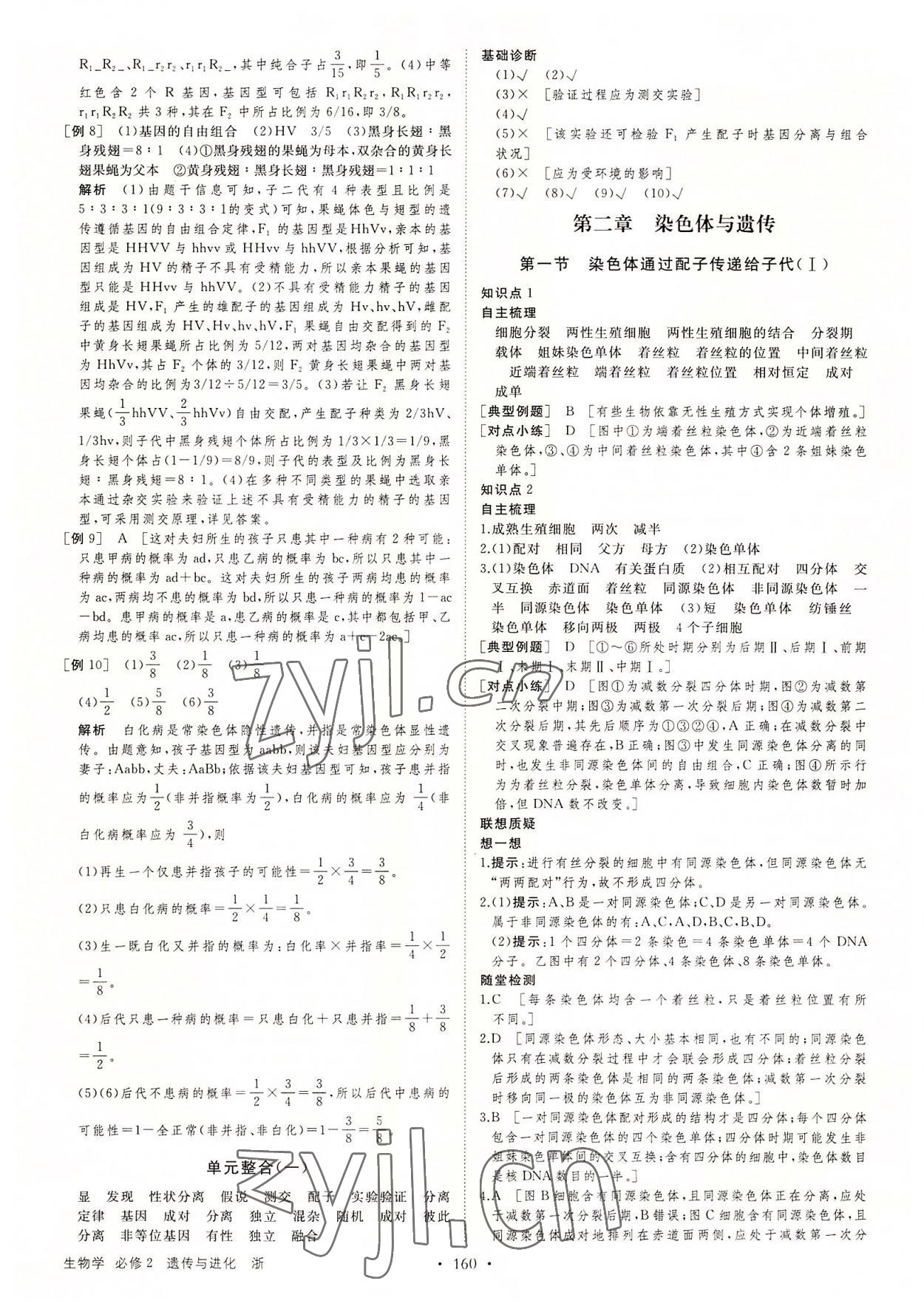 2022年創(chuàng)新設(shè)計高中生物必修2浙科版 第4頁