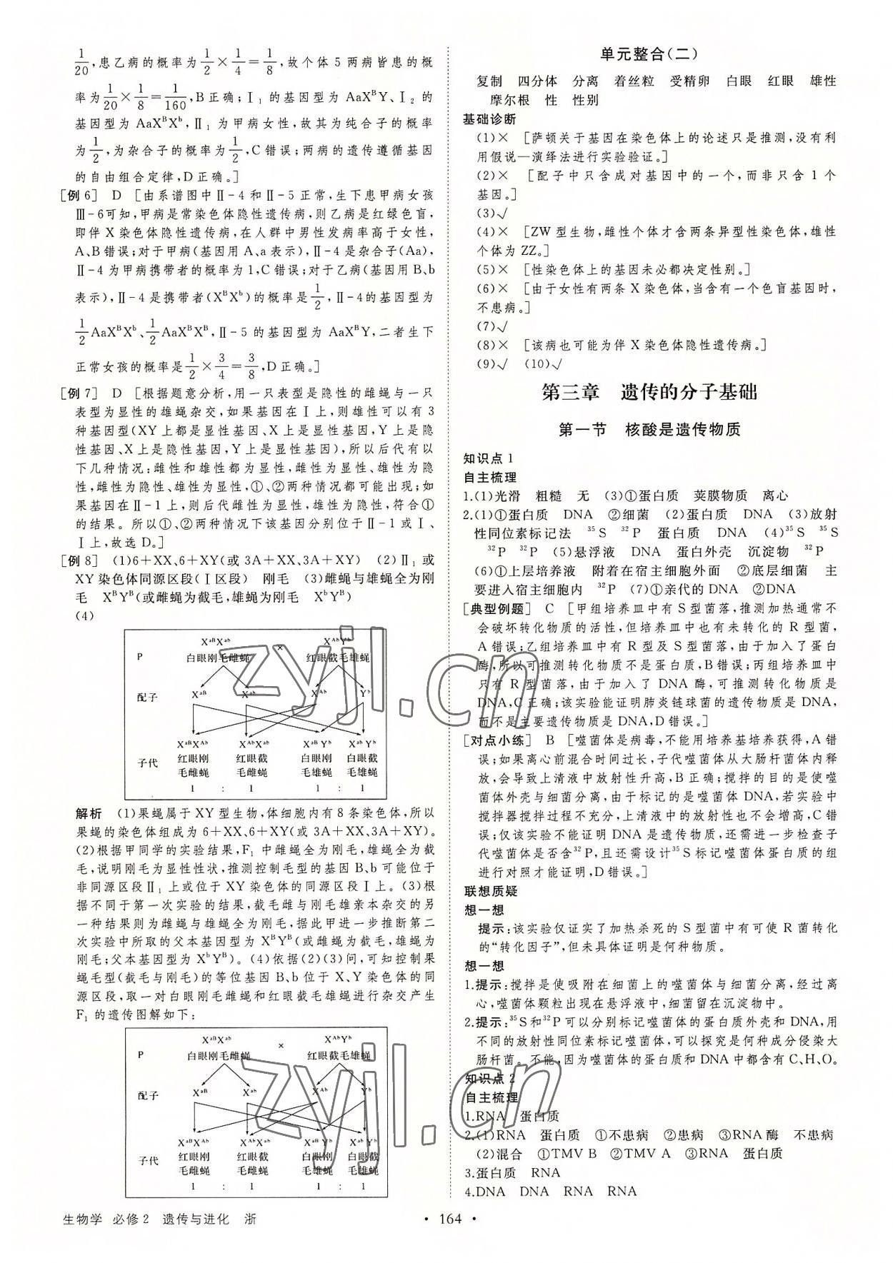 2022年創(chuàng)新設(shè)計(jì)高中生物必修2浙科版 第8頁