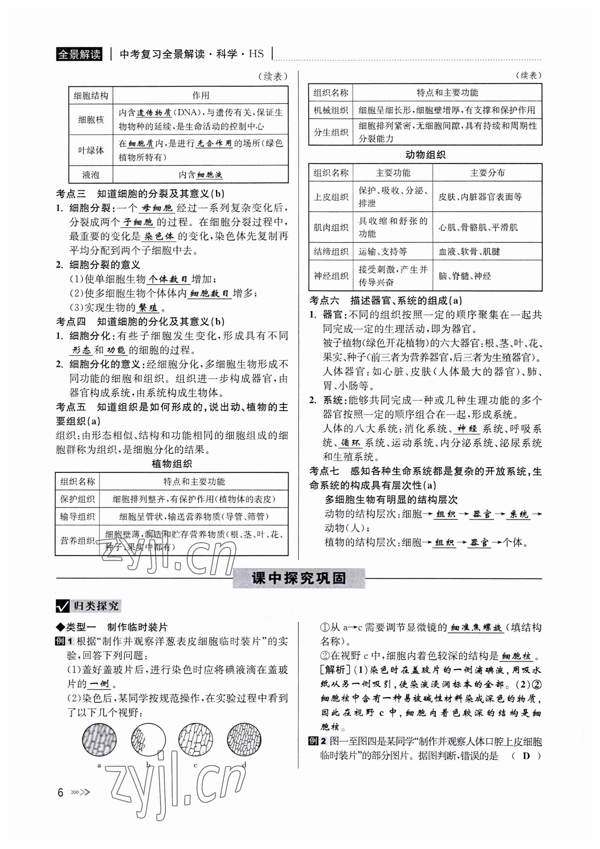 2022年中考復(fù)習(xí)全景解讀科學(xué)華師大版 參考答案第6頁(yè)