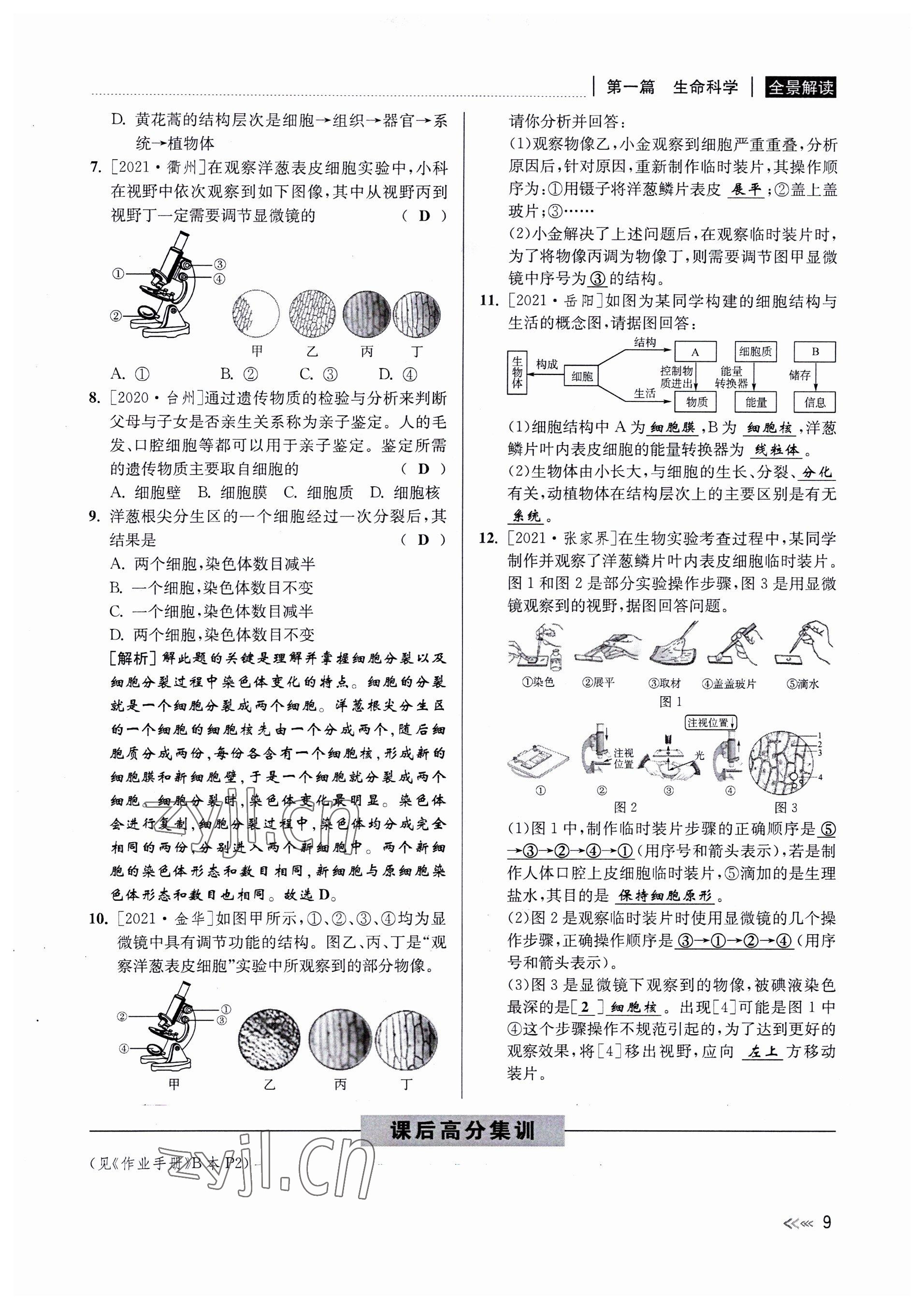 2022年中考復(fù)習(xí)全景解讀科學(xué)華師大版 參考答案第9頁(yè)