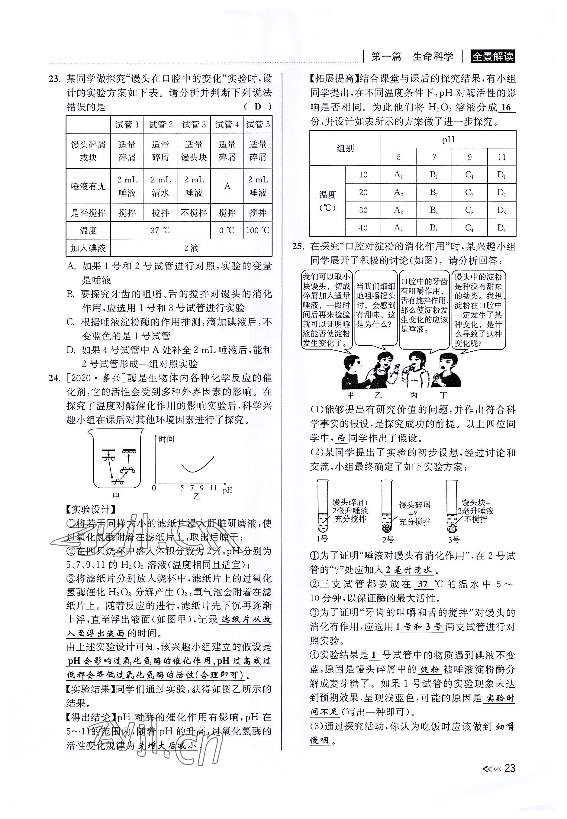 2022年中考復(fù)習(xí)全景解讀科學(xué)華師大版 參考答案第22頁