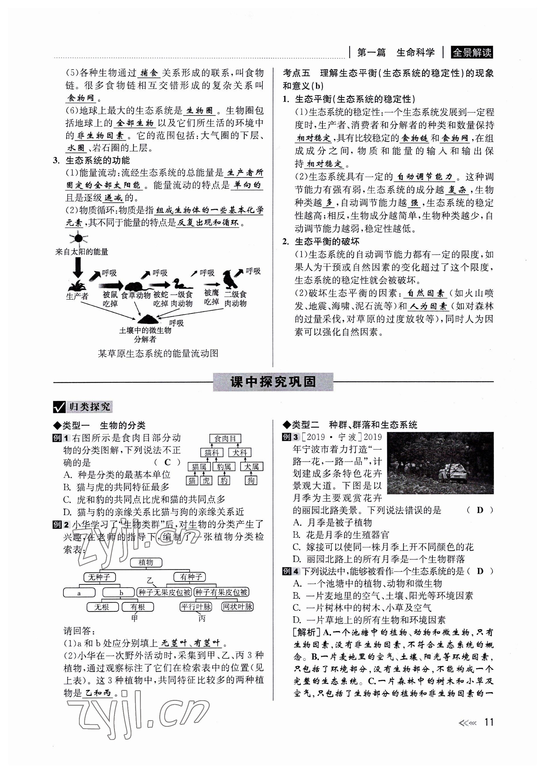 2022年中考復(fù)習(xí)全景解讀科學(xué)華師大版 參考答案第11頁(yè)