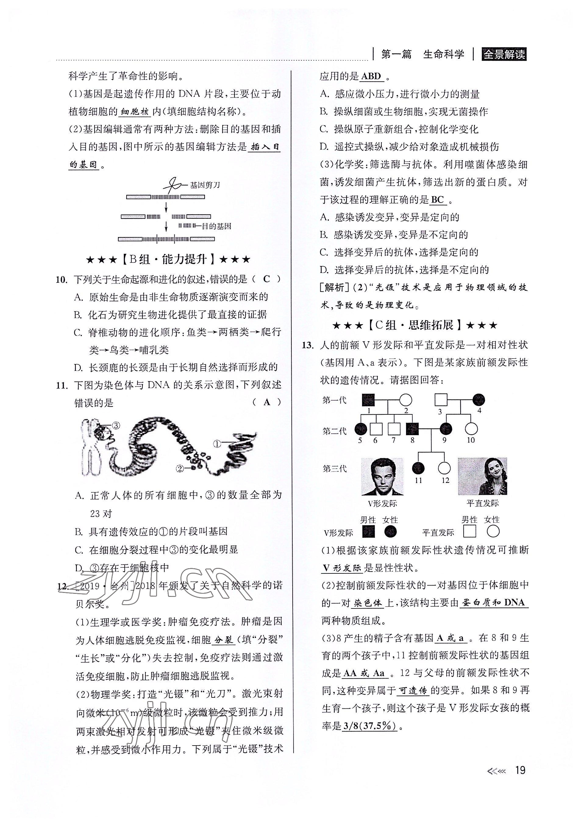 2022年中考復(fù)習(xí)全景解讀科學(xué)華師大版 參考答案第18頁(yè)