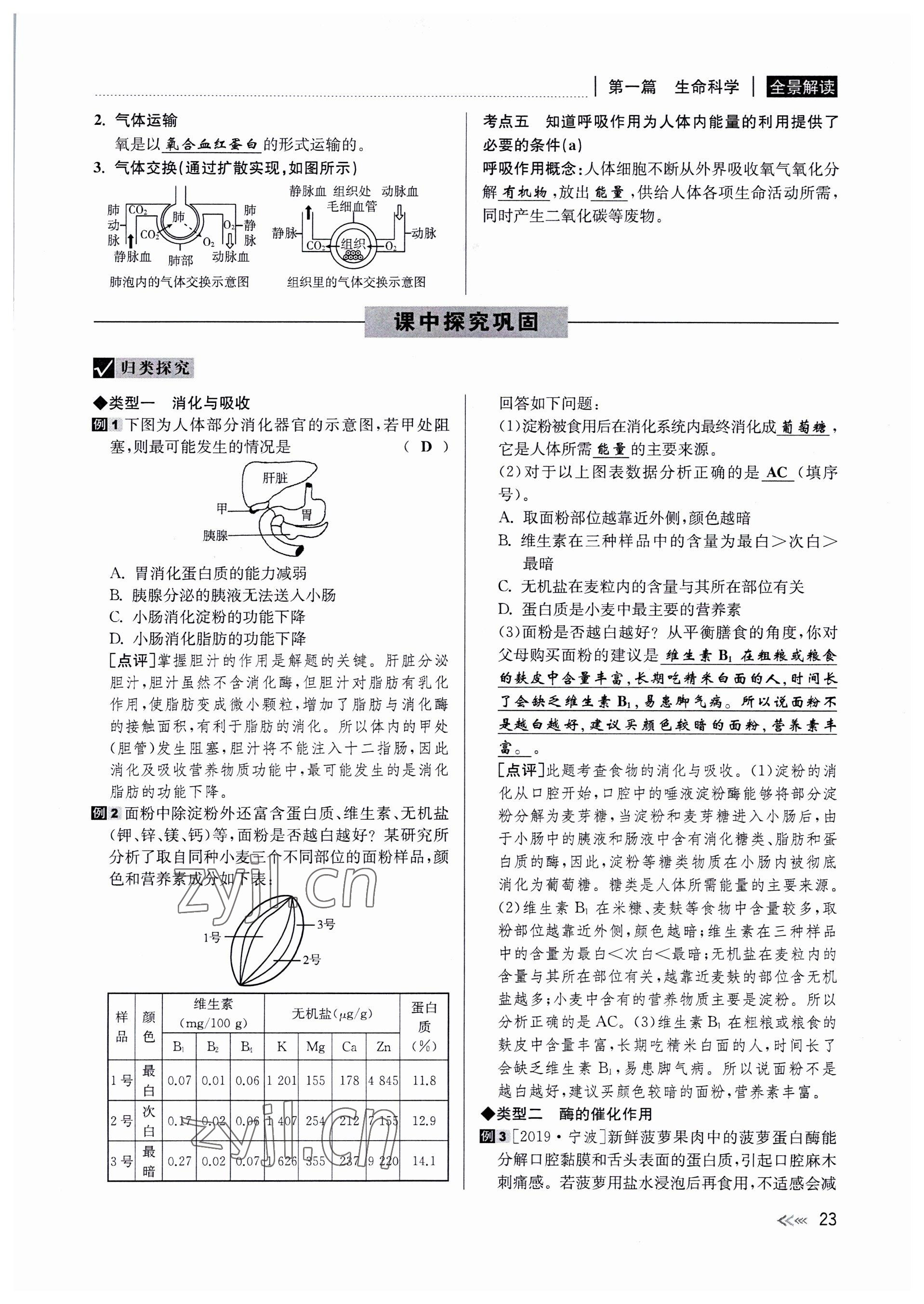 2022年中考復(fù)習(xí)全景解讀科學(xué)華師大版 參考答案第23頁