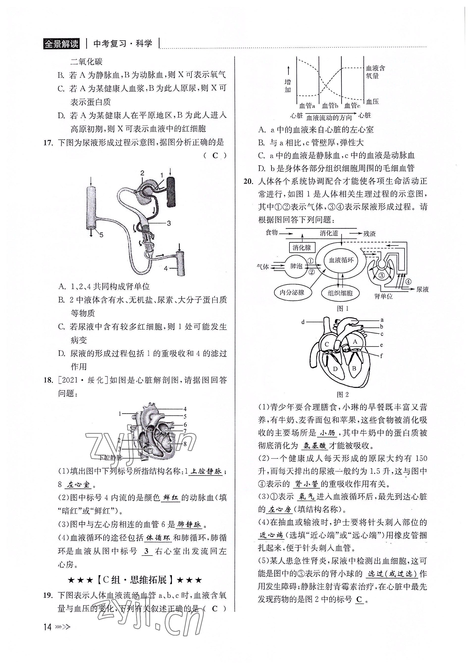 2022年中考復(fù)習(xí)全景解讀科學(xué)華師大版 參考答案第13頁