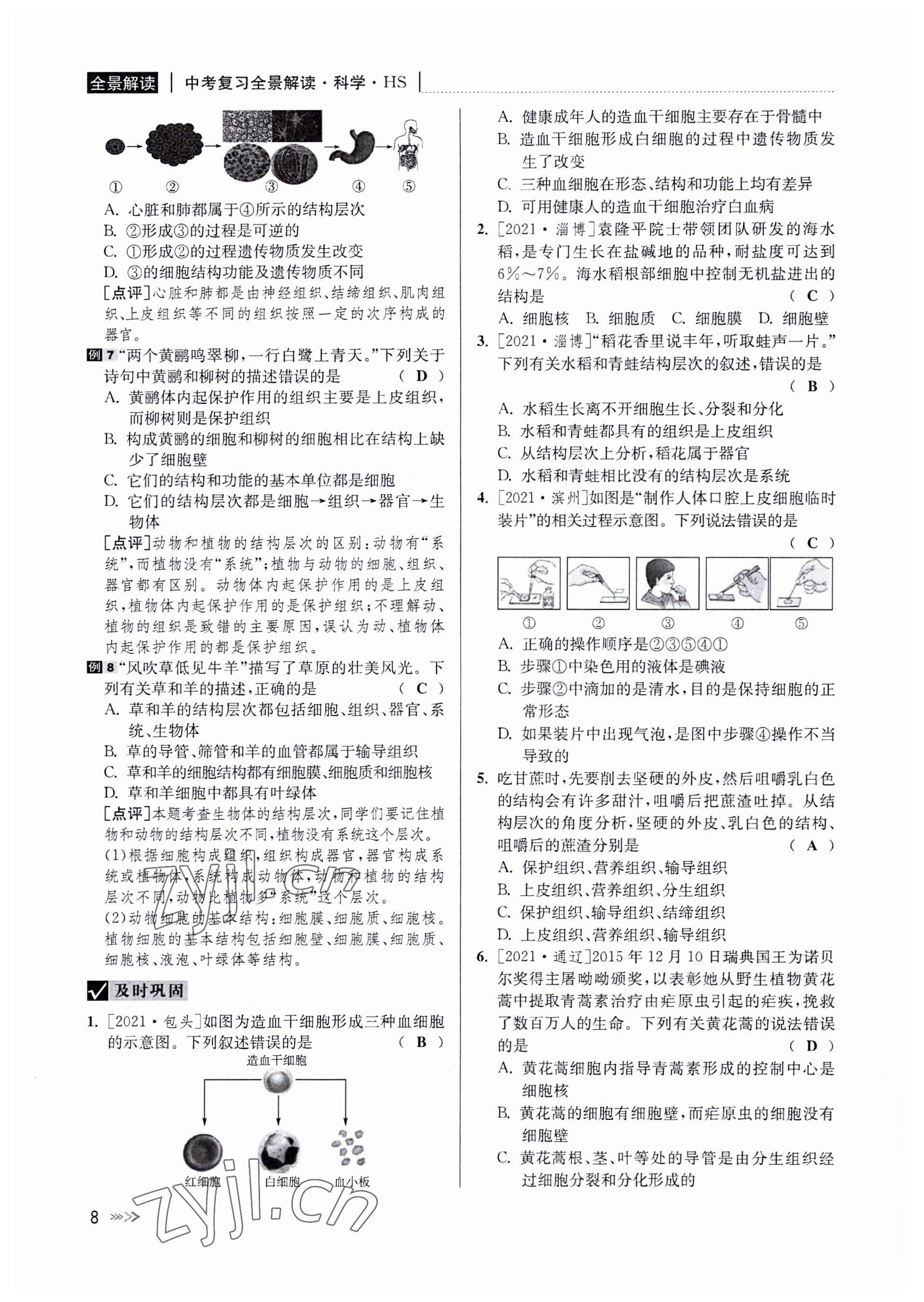 2022年中考復(fù)習(xí)全景解讀科學(xué)華師大版 參考答案第8頁