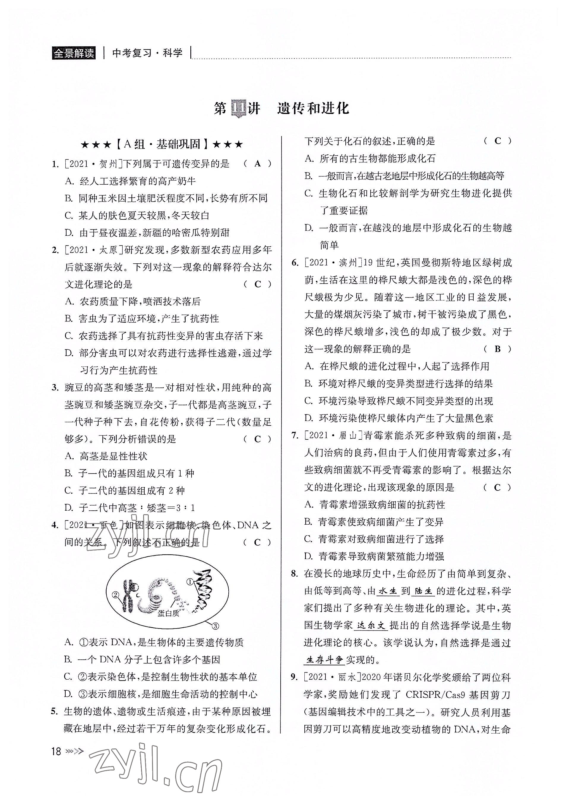 2022年中考復(fù)習(xí)全景解讀科學(xué)華師大版 參考答案第17頁