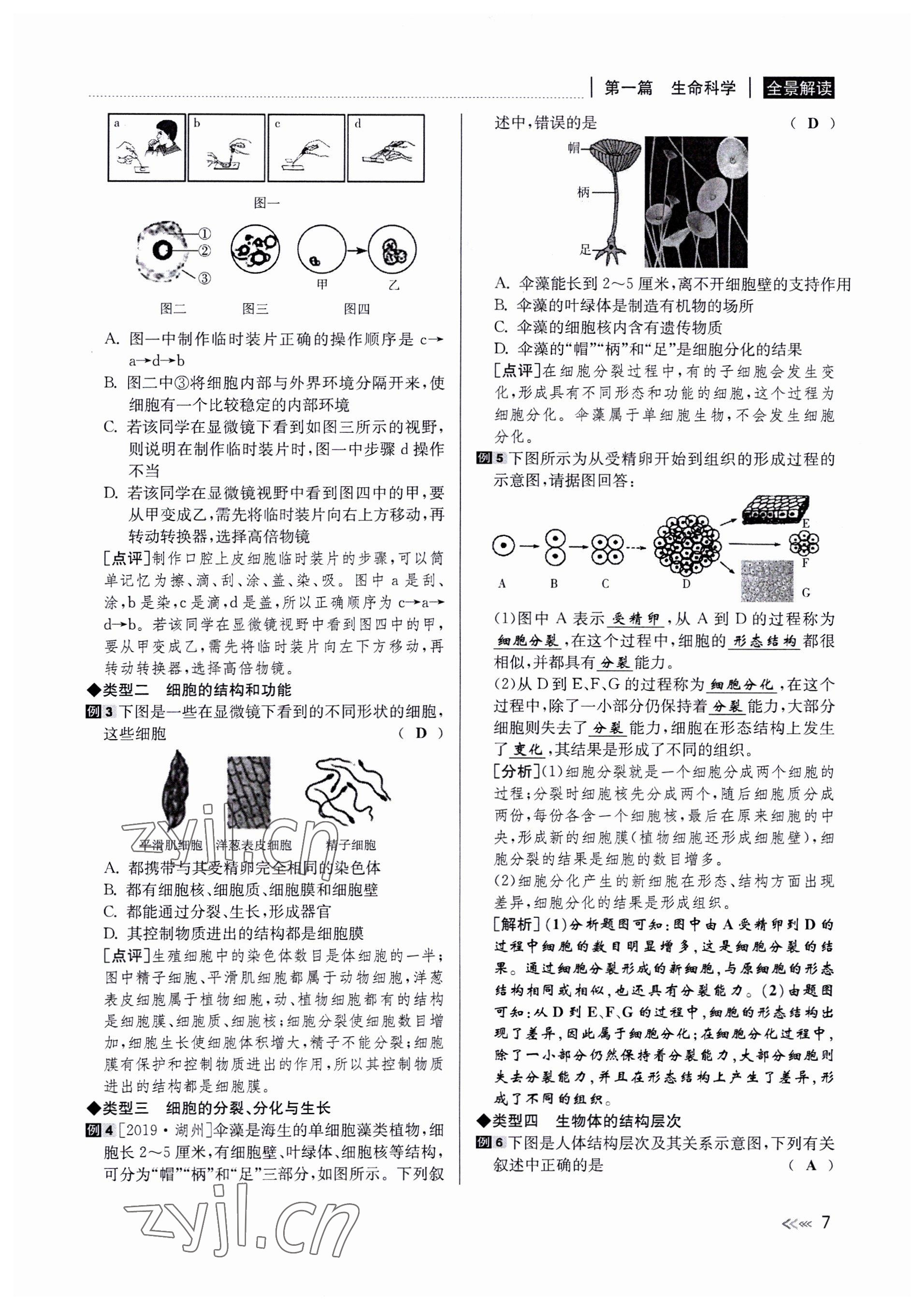 2022年中考復(fù)習(xí)全景解讀科學(xué)華師大版 參考答案第7頁