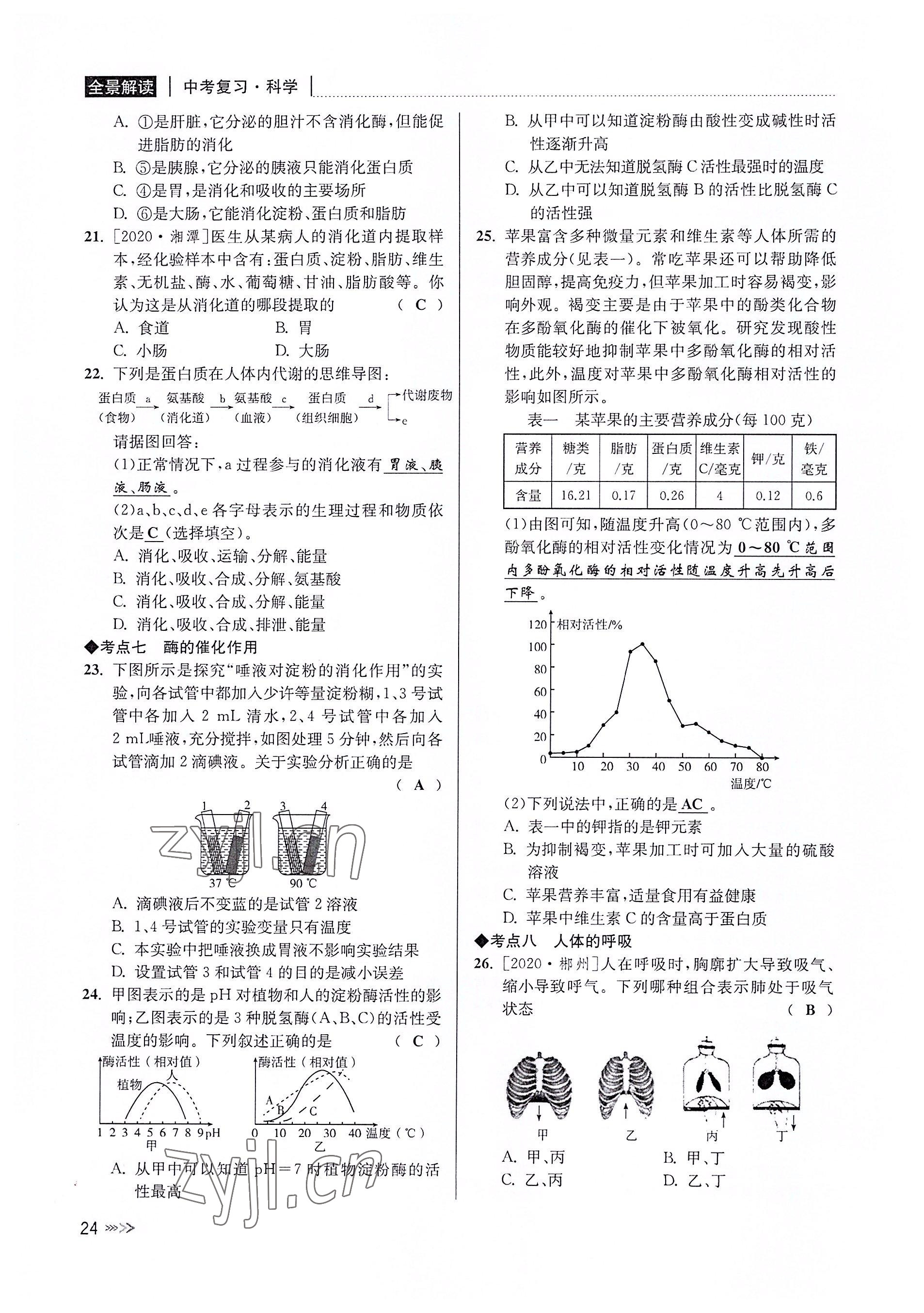 2022年中考復(fù)習(xí)全景解讀科學(xué)華師大版 參考答案第23頁(yè)