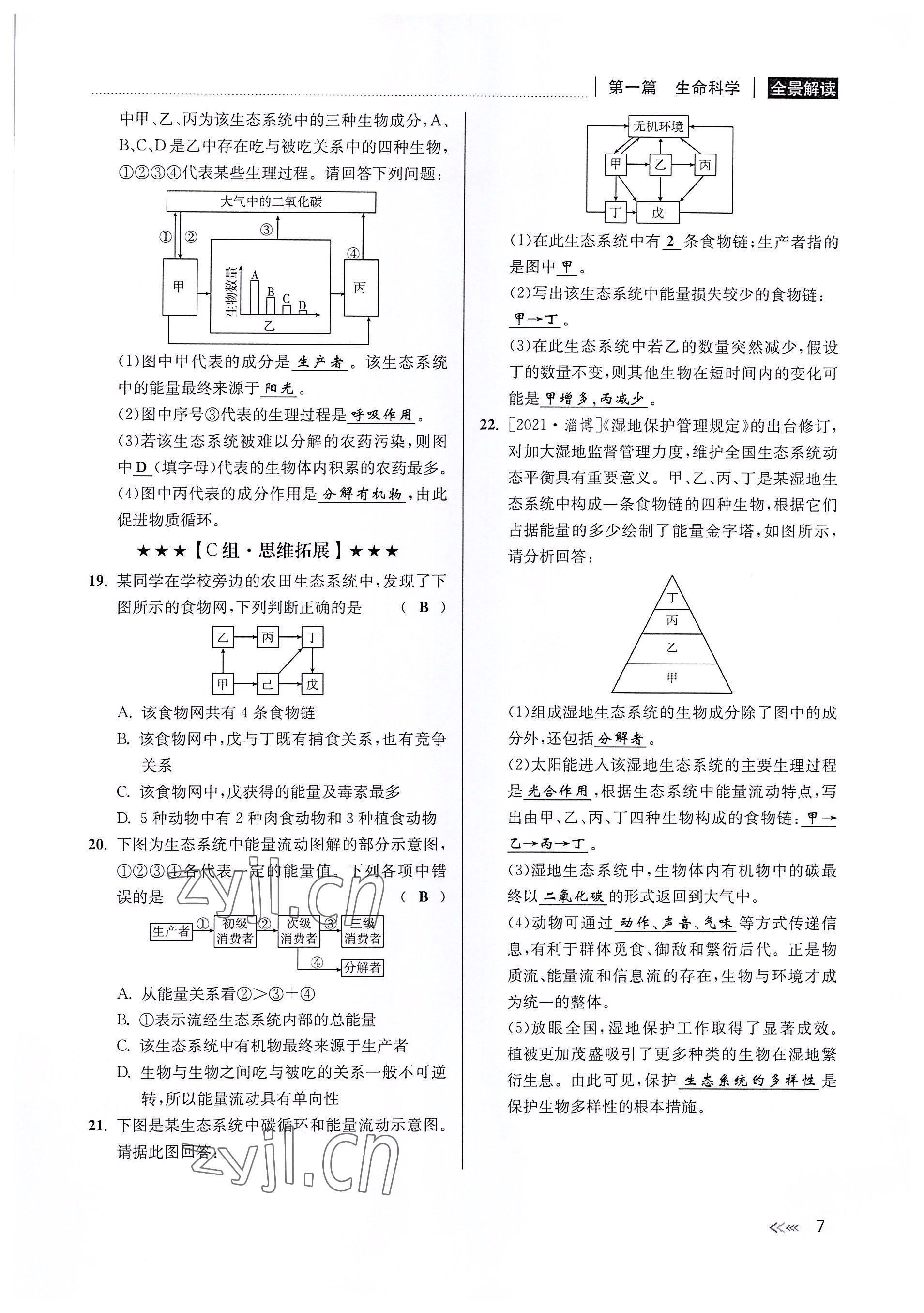 2022年中考復(fù)習(xí)全景解讀科學(xué)華師大版 參考答案第6頁