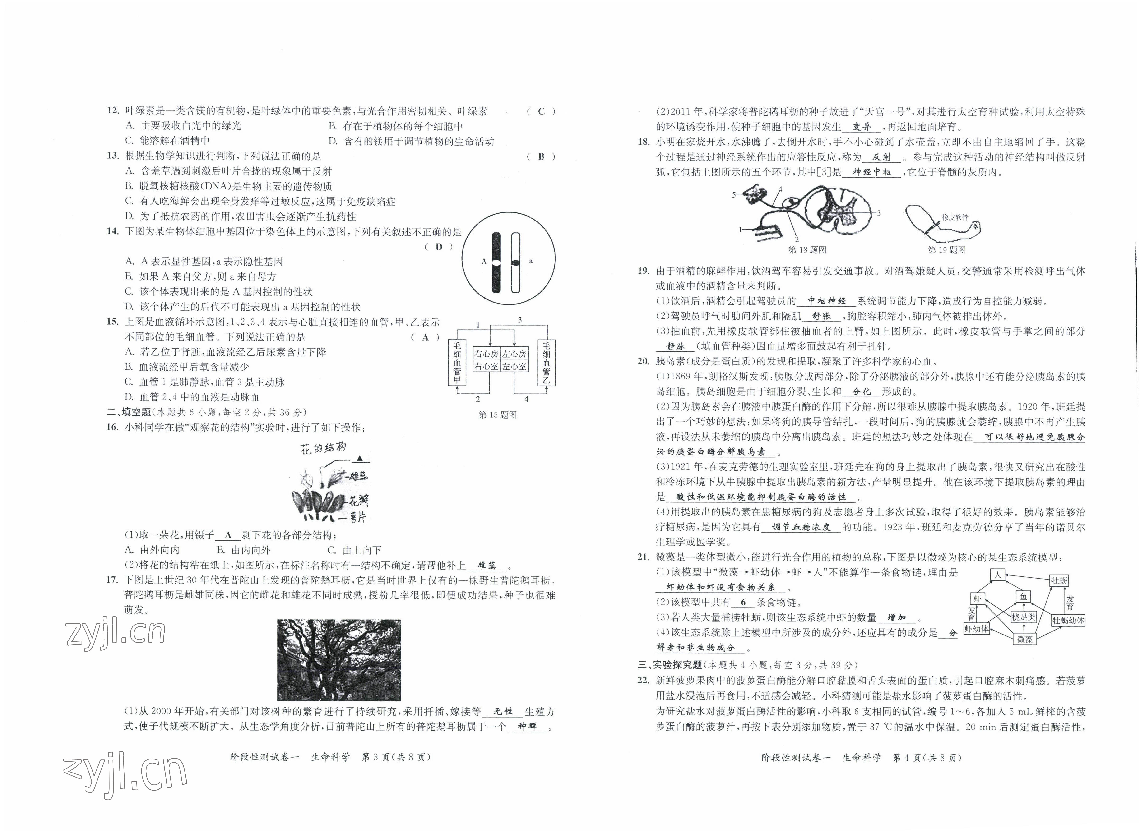 2022年中考復(fù)習(xí)全景解讀科學(xué)華師大版 參考答案第2頁