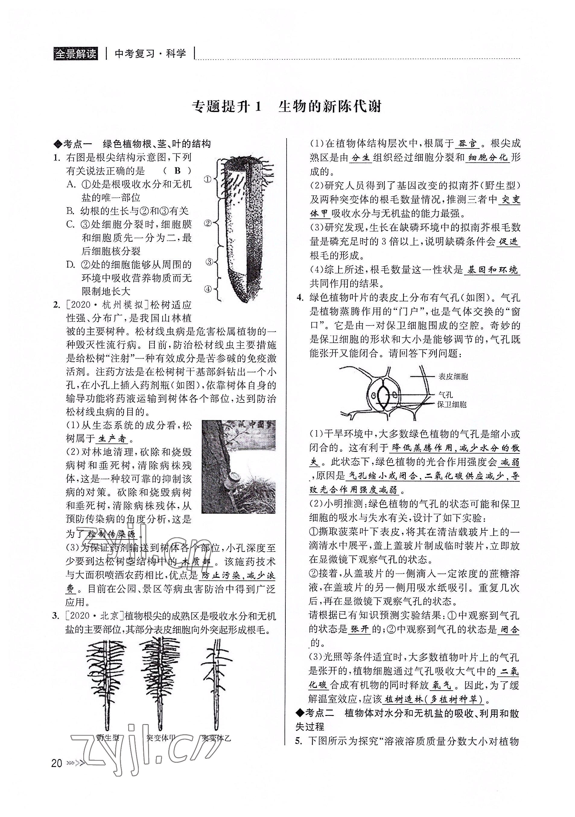 2022年中考復(fù)習(xí)全景解讀科學(xué)華師大版 參考答案第19頁(yè)