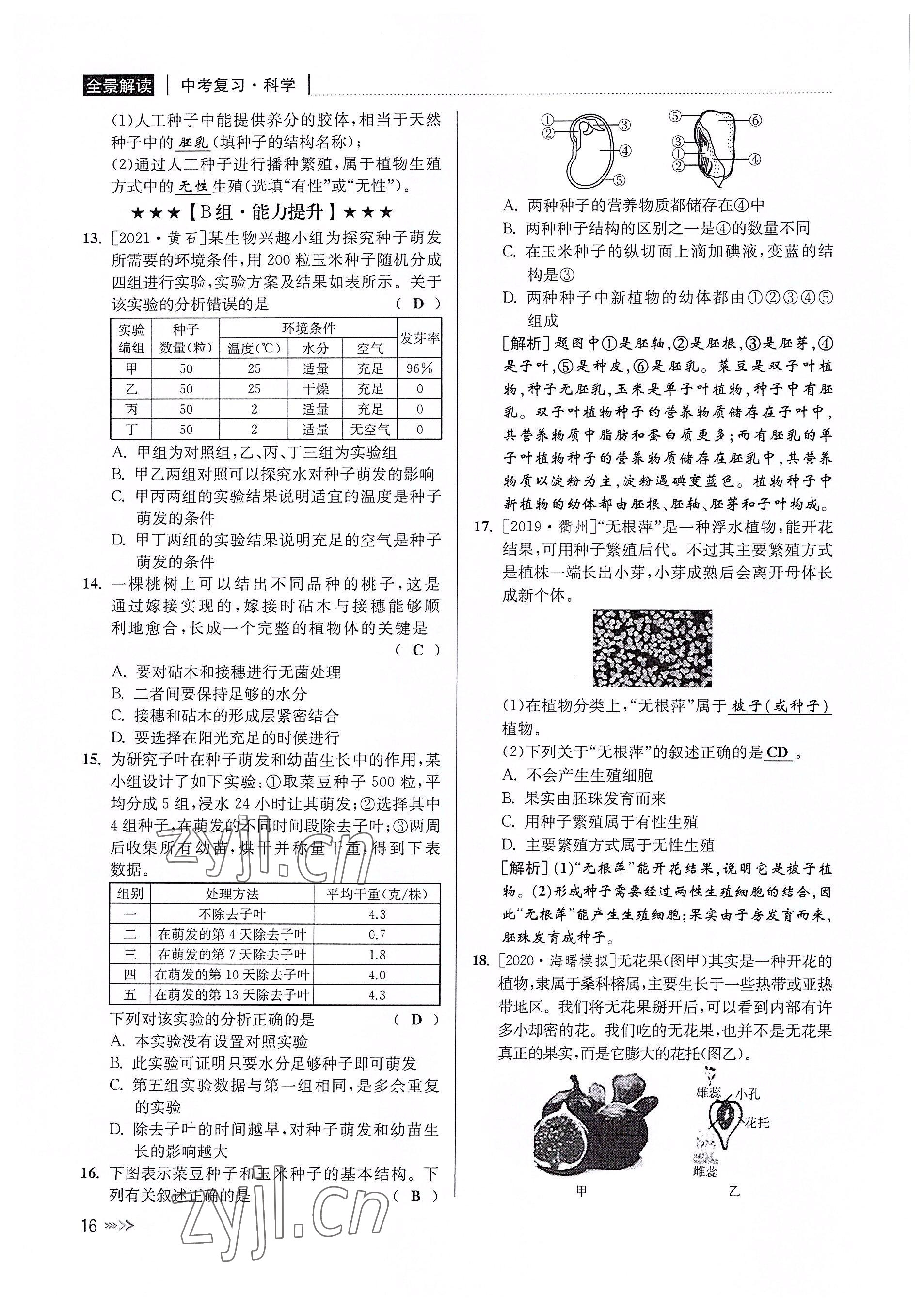 2022年中考復(fù)習(xí)全景解讀科學(xué)華師大版 參考答案第15頁(yè)