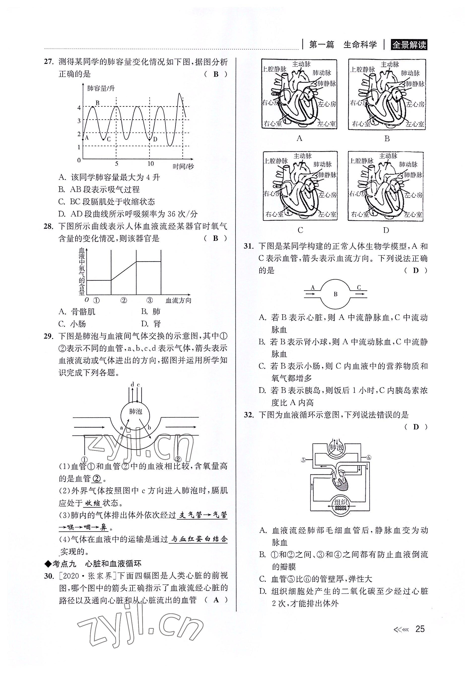 2022年中考復(fù)習全景解讀科學華師大版 參考答案第24頁