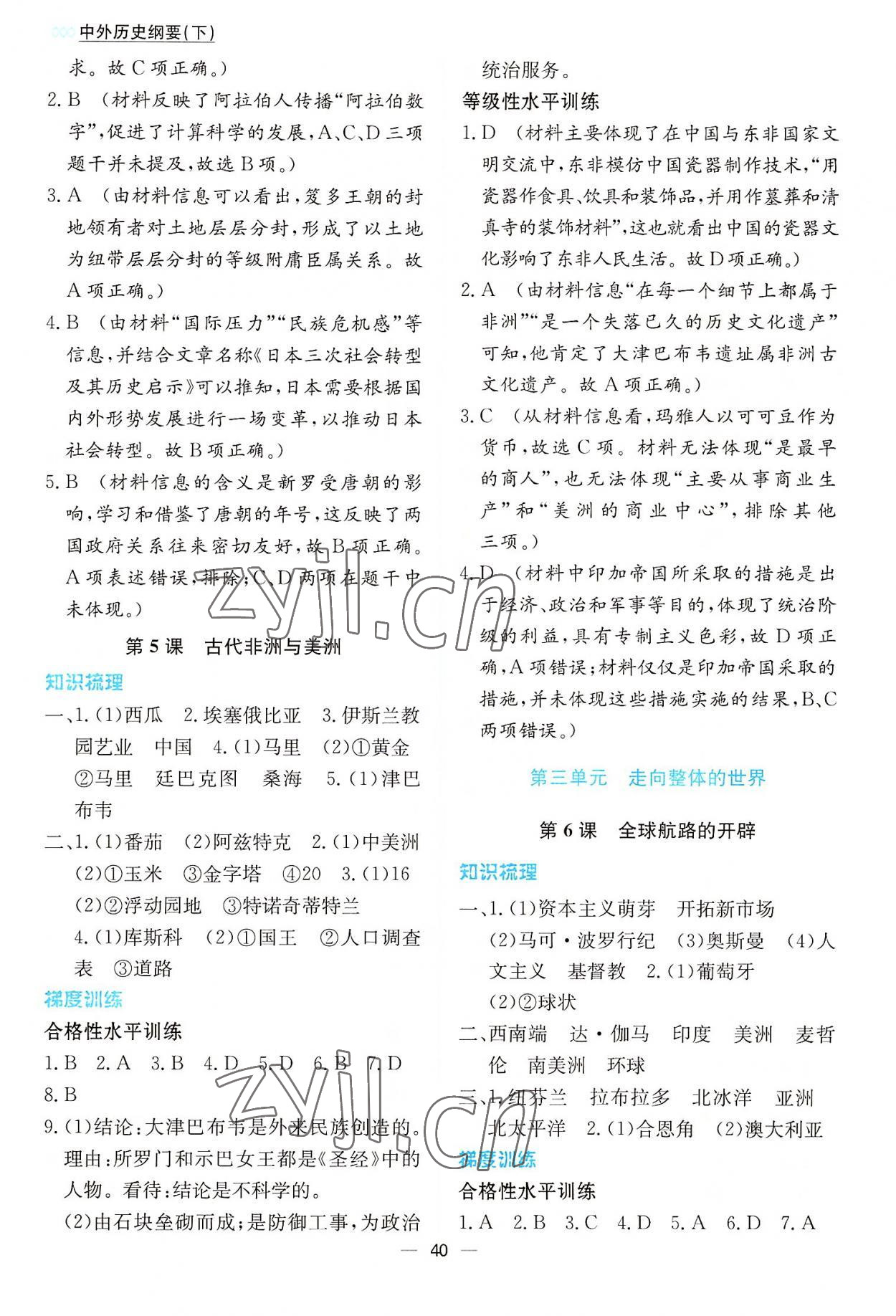 2022年同步学案解析与测评高中历史必修下册&nbsp;第4页