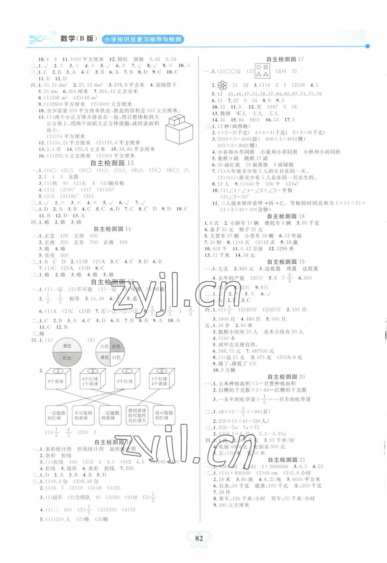 2022年大显身手小学知识总复习指导与检测数学B版河池专版 第2页