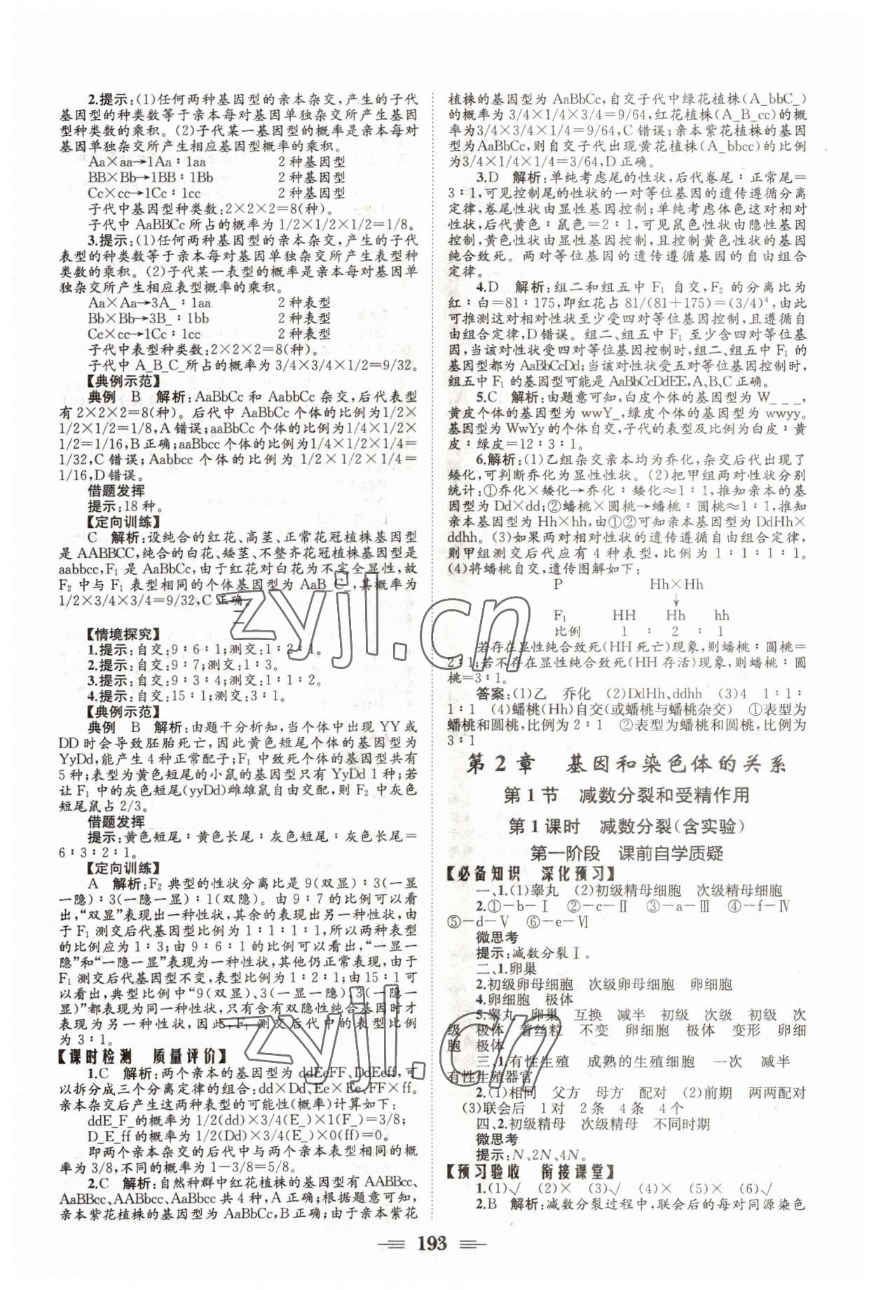 2022年长江作业本同步练习册高中生物必修2人教版 参考答案第3页