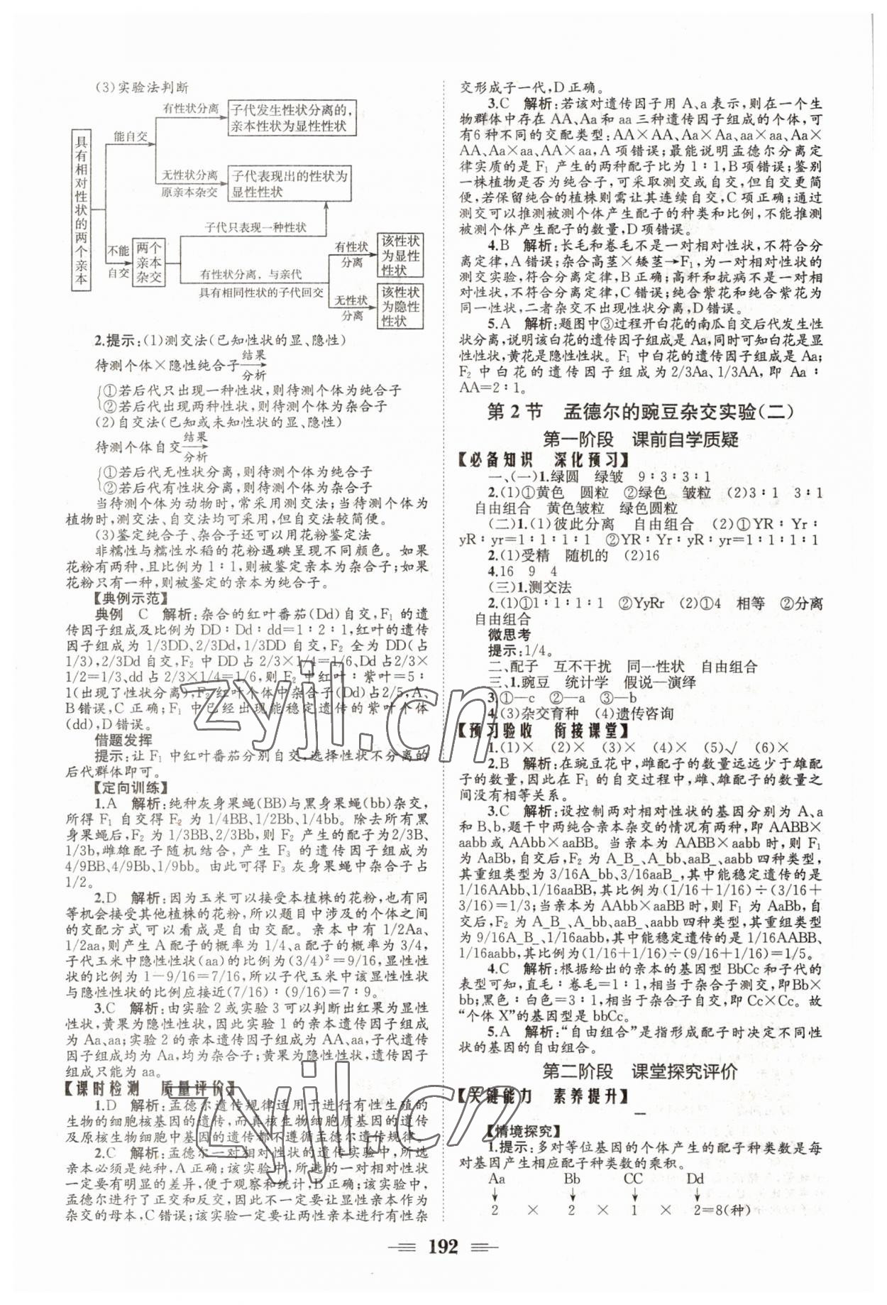 2022年長(zhǎng)江作業(yè)本同步練習(xí)冊(cè)高中生物必修2人教版 參考答案第2頁(yè)