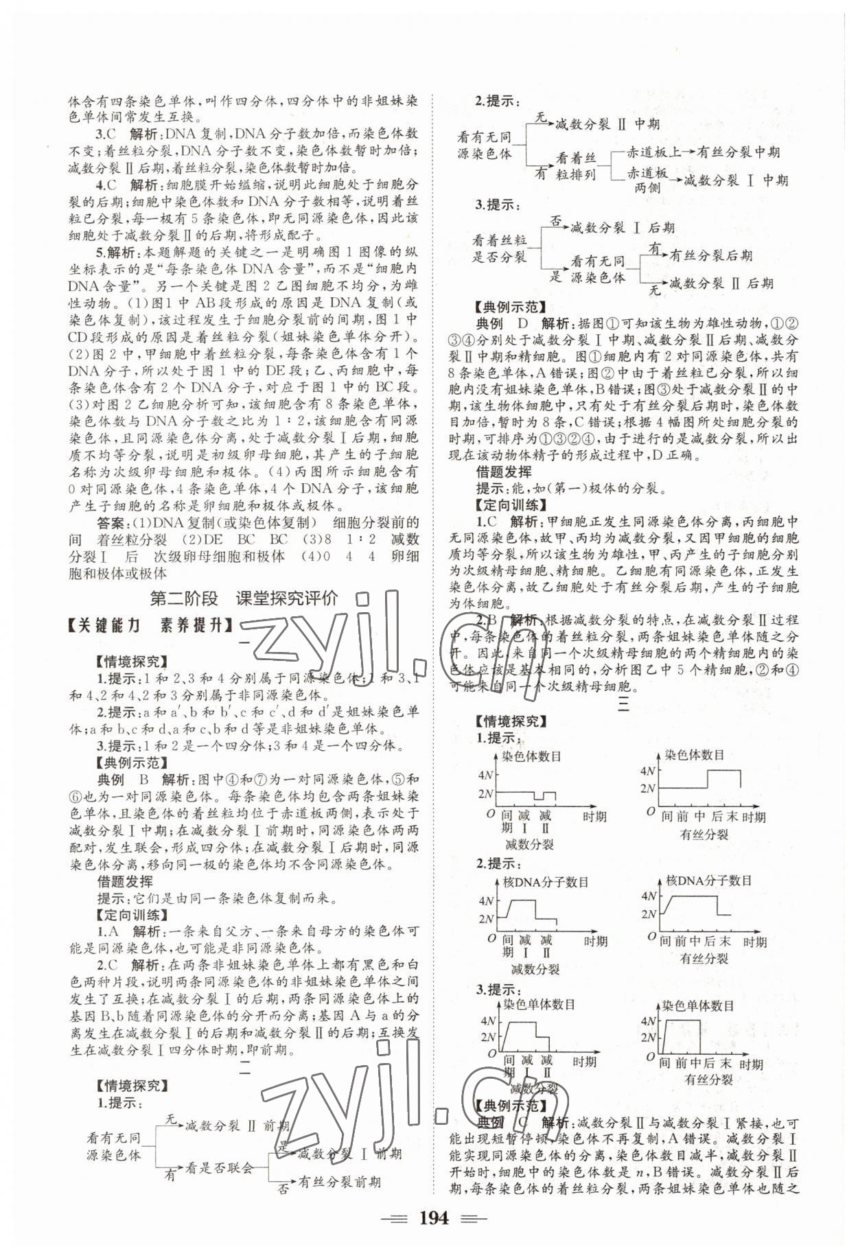 2022年长江作业本同步练习册高中生物必修2人教版 参考答案第4页