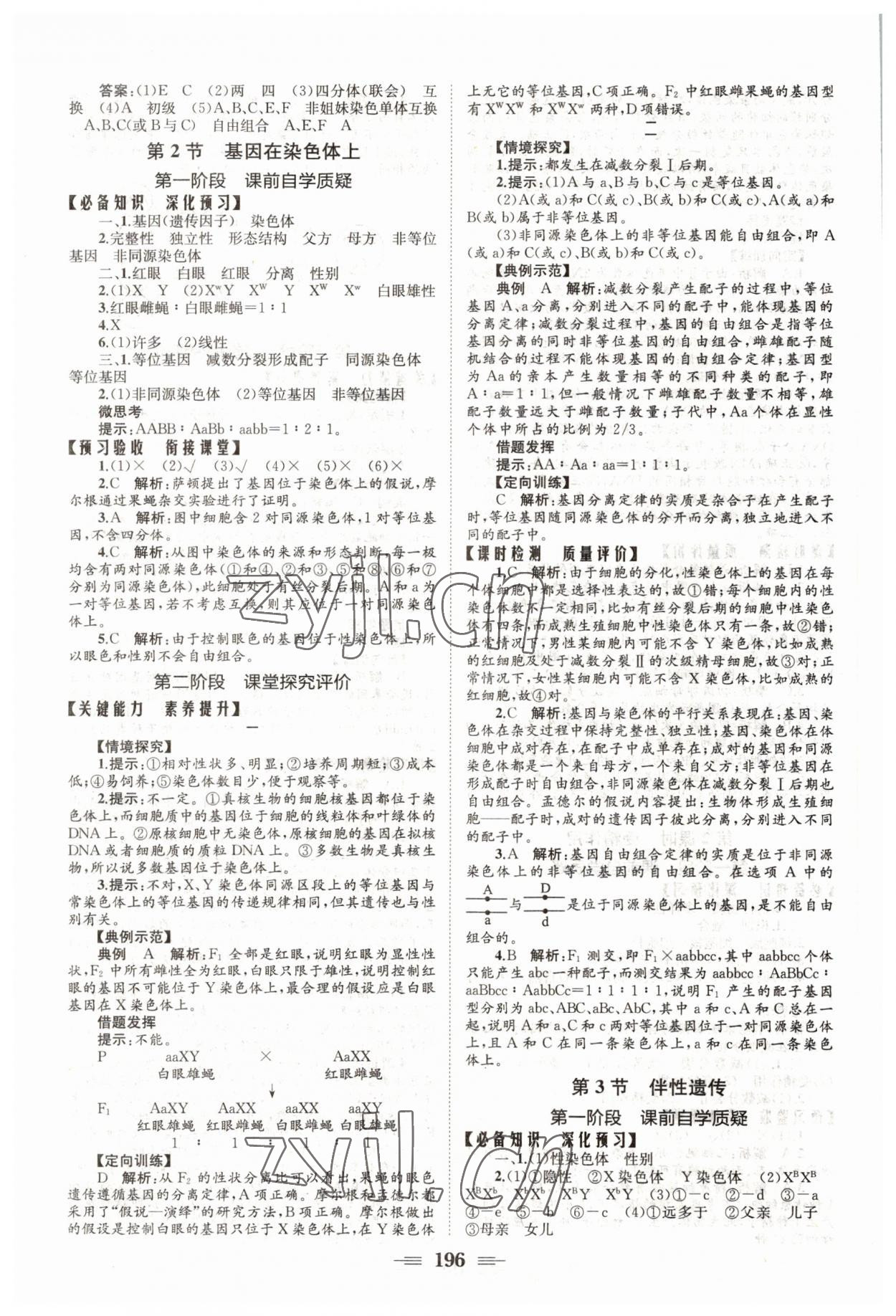 2022年長江作業(yè)本同步練習冊高中生物必修2人教版 參考答案第6頁