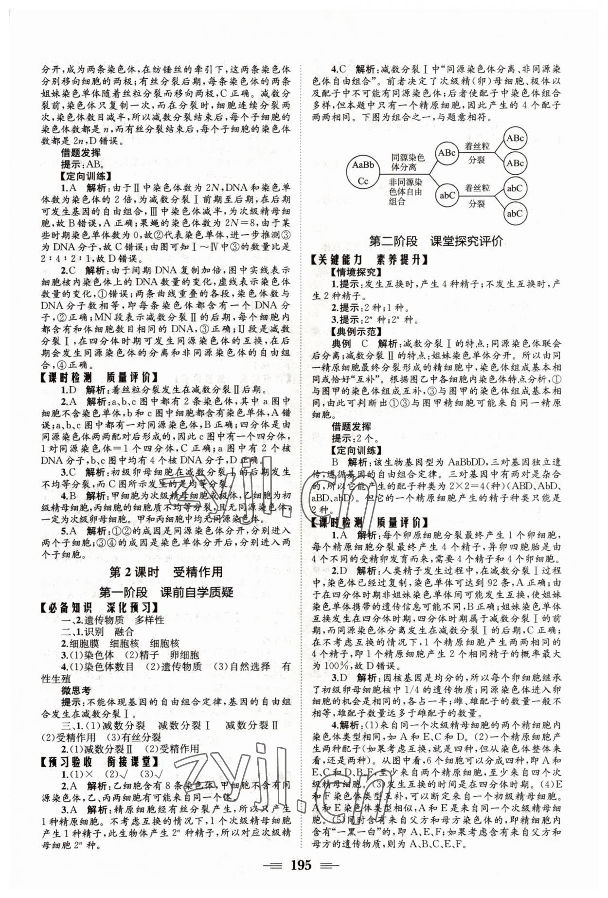 2022年長(zhǎng)江作業(yè)本同步練習(xí)冊(cè)高中生物必修2人教版 參考答案第5頁