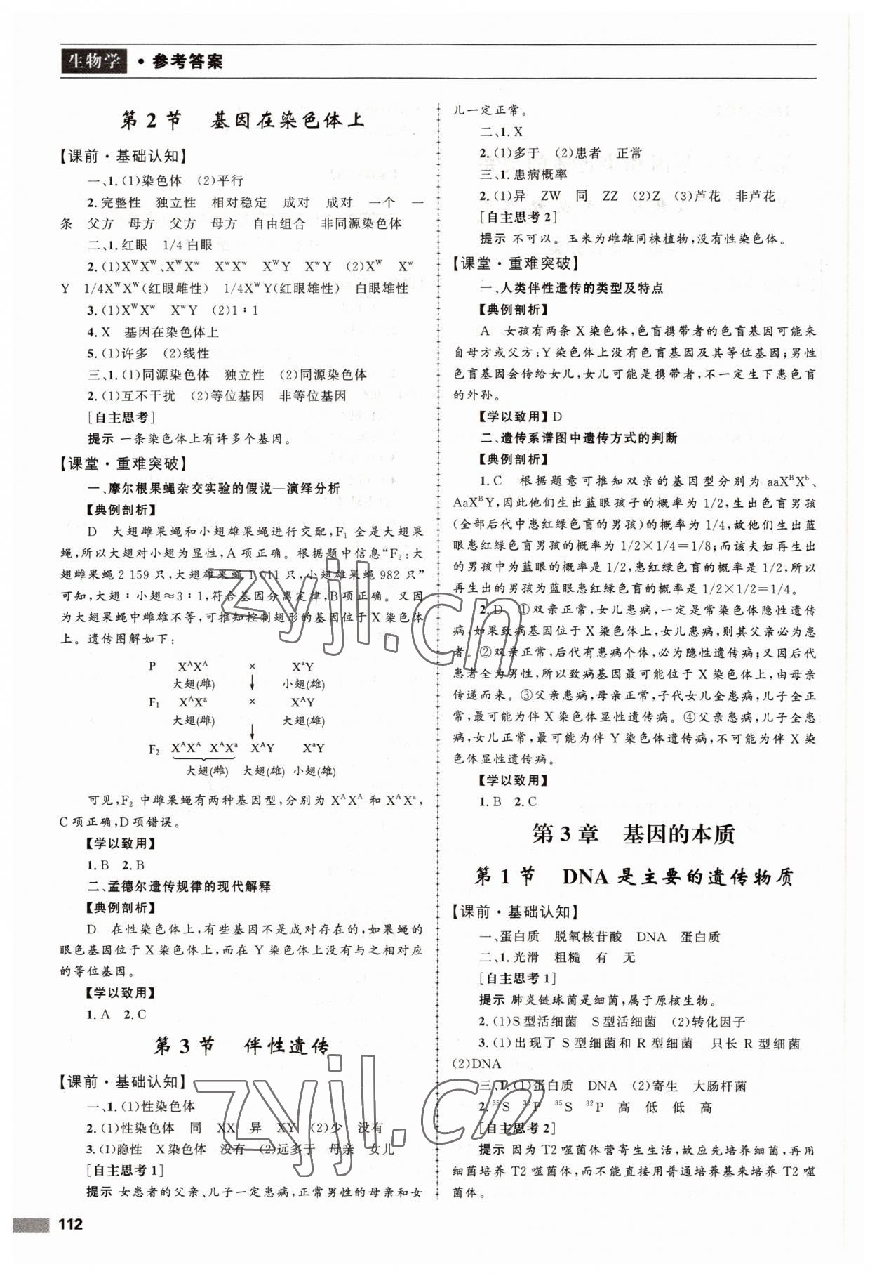 2022年新課程自主學(xué)習(xí)與測評生物必修2人教版 第4頁