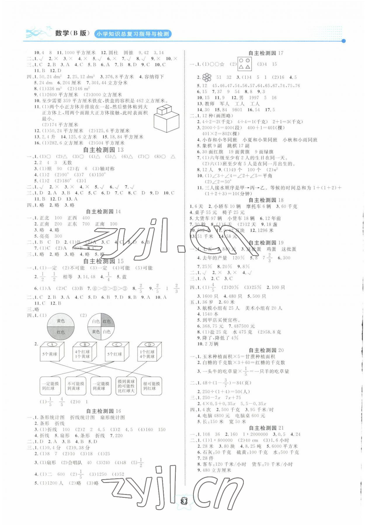 2022年大显身手小学知识总复习指导与检测数学B版百色专版 第2页