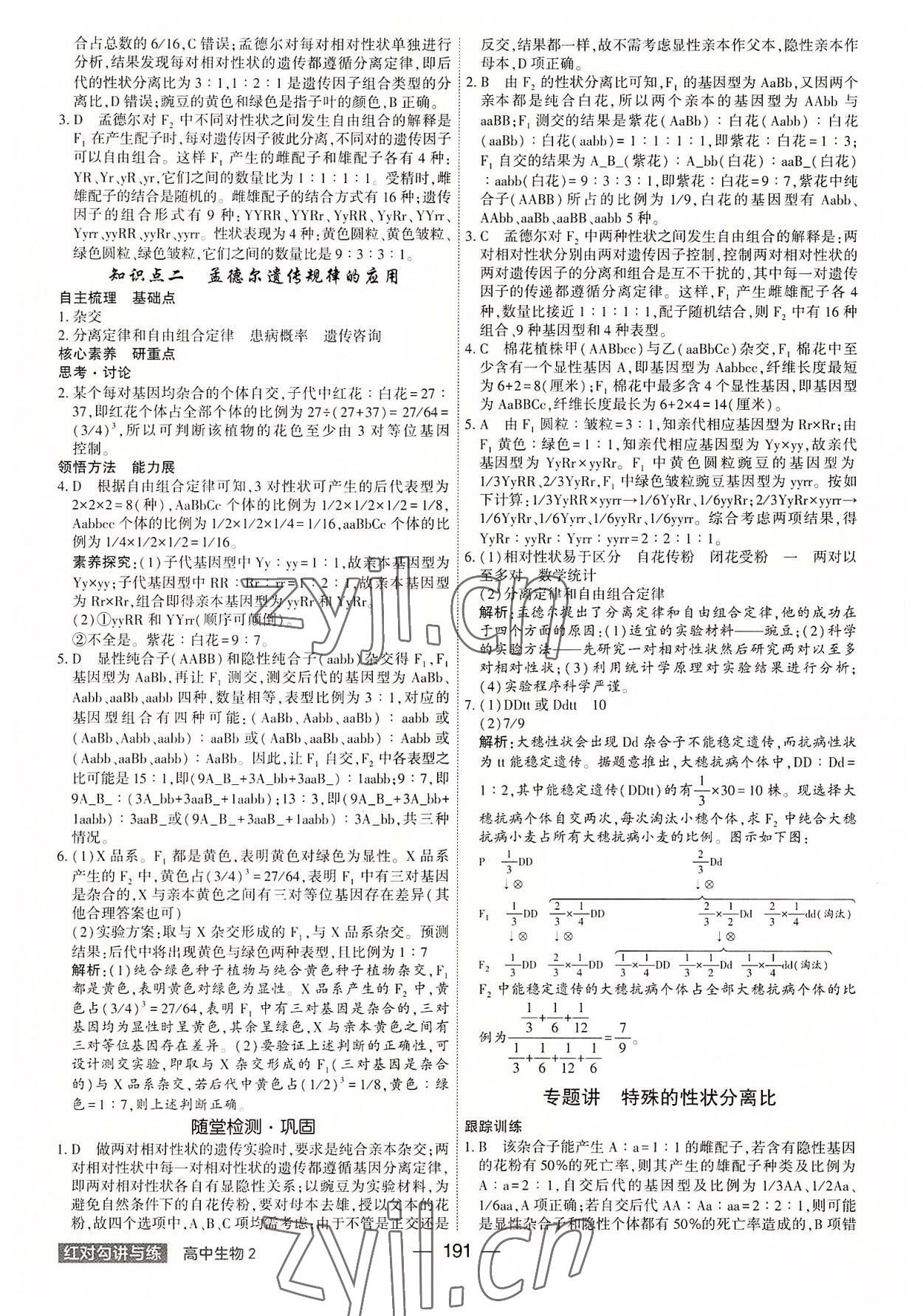 2022年紅對勾講與練高中生物必修2人教版 參考答案第3頁