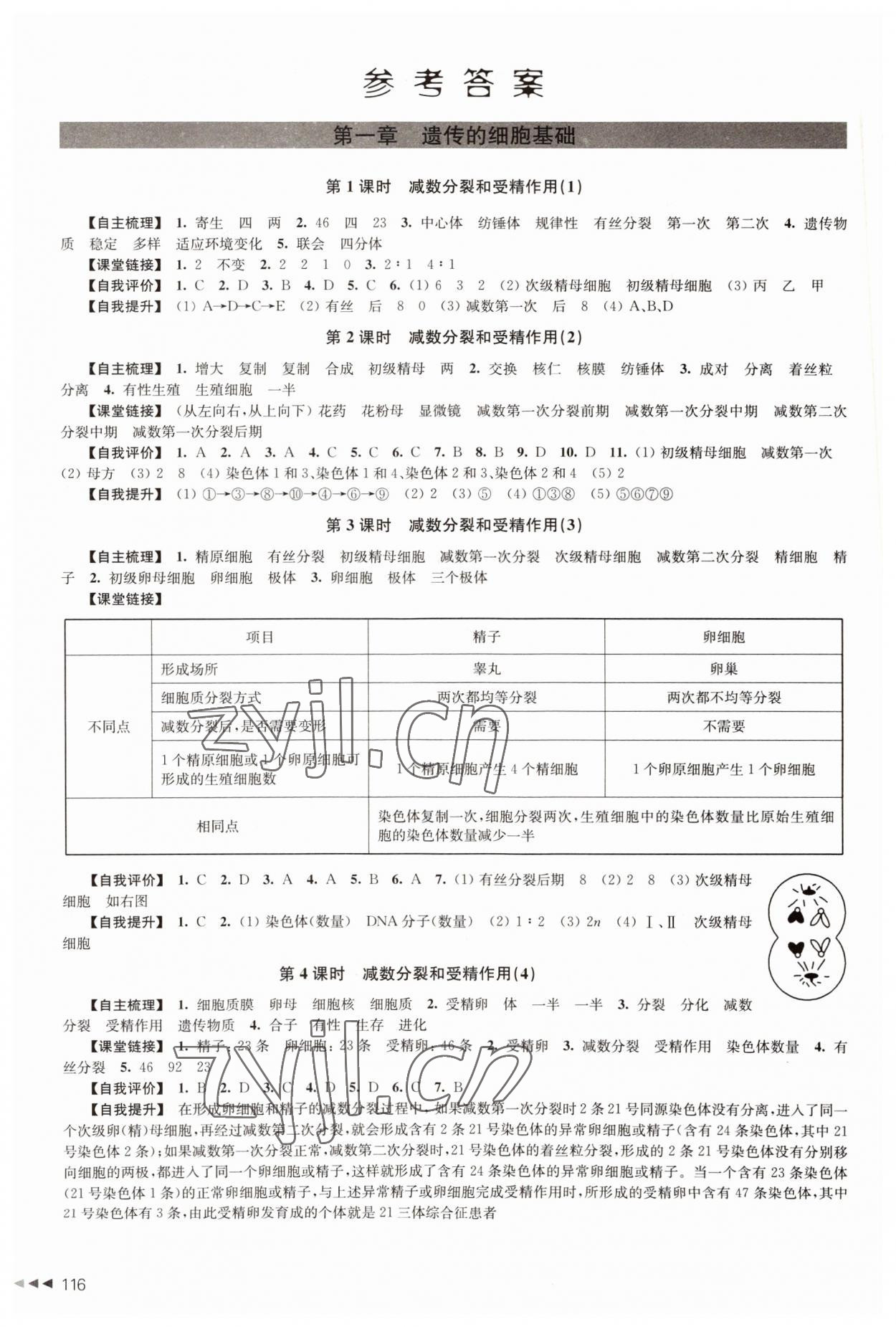 2022年課課練高中生物必修2遺傳與進(jìn)化 參考答案第1頁(yè)