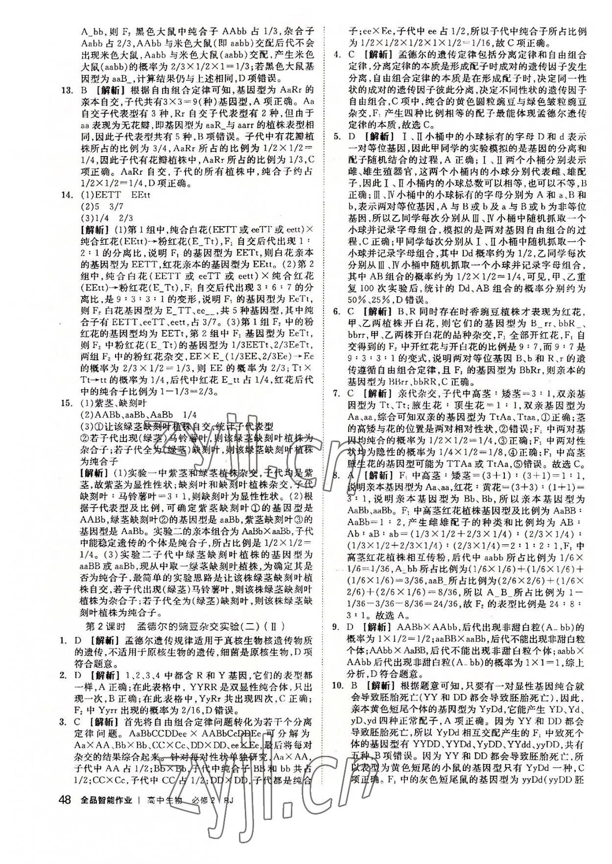 2022年全品智能作業(yè)高中生物必修2人教版 第4頁