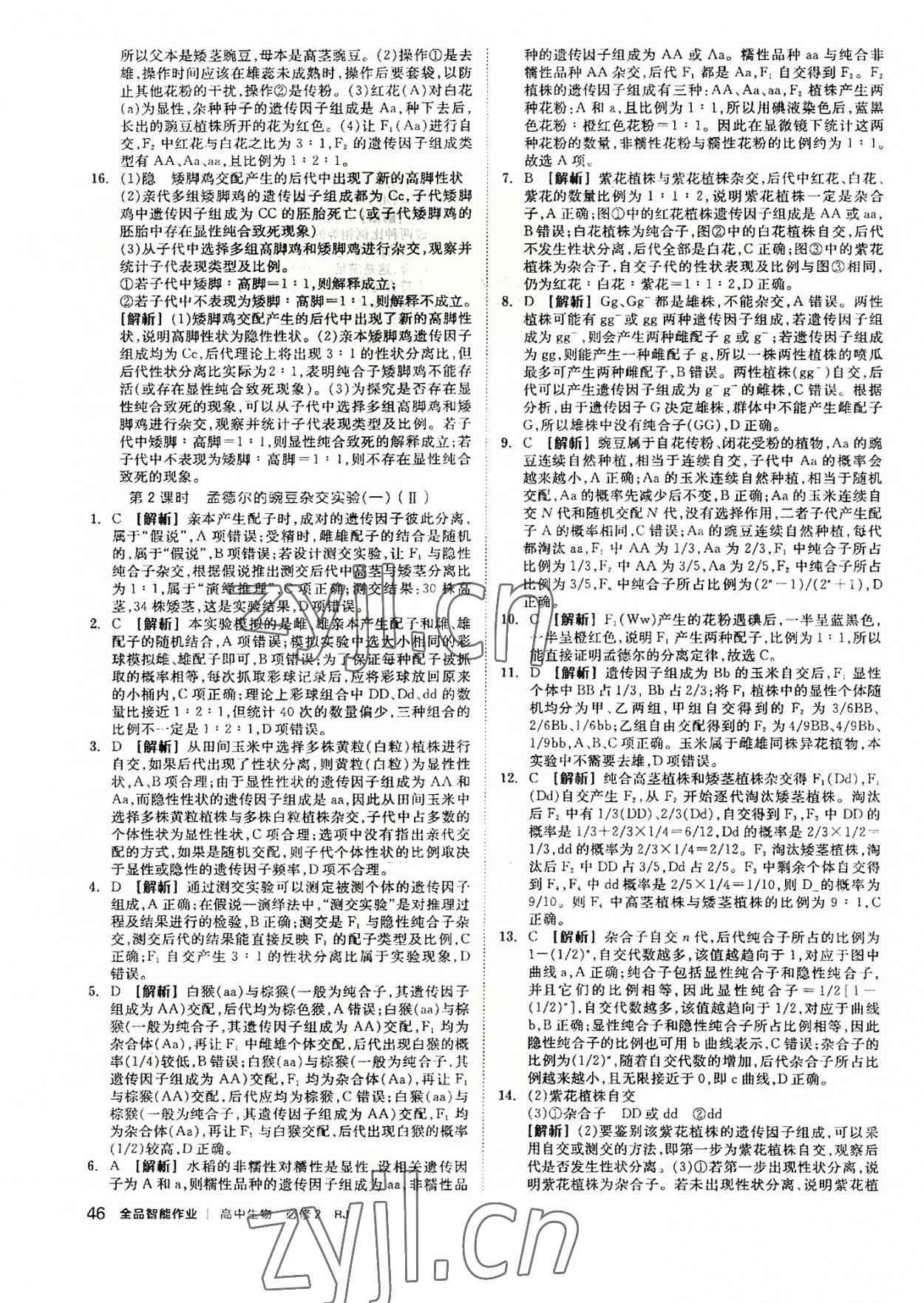 2022年全品智能作业高中生物必修2人教版 第2页