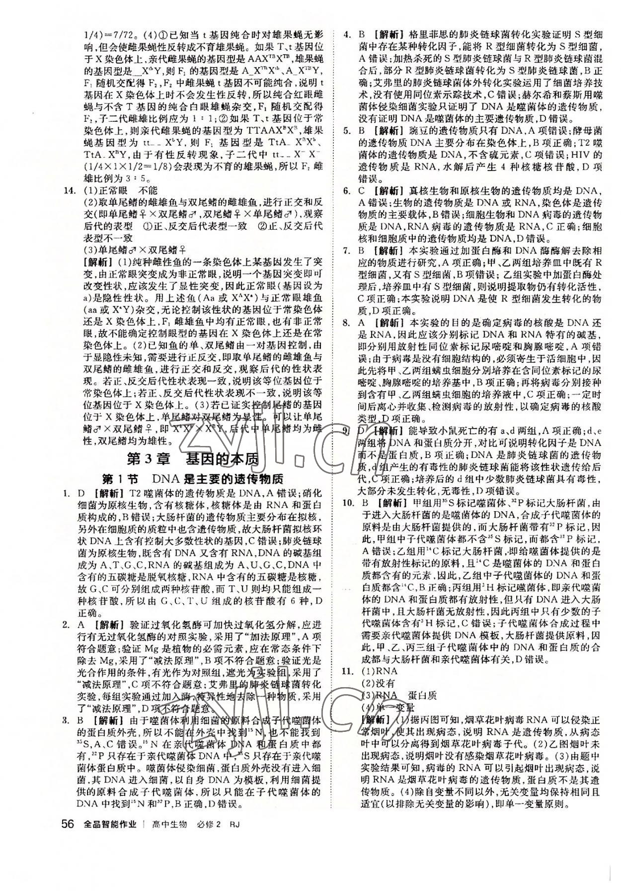 2022年全品智能作業(yè)高中生物必修2人教版 第12頁