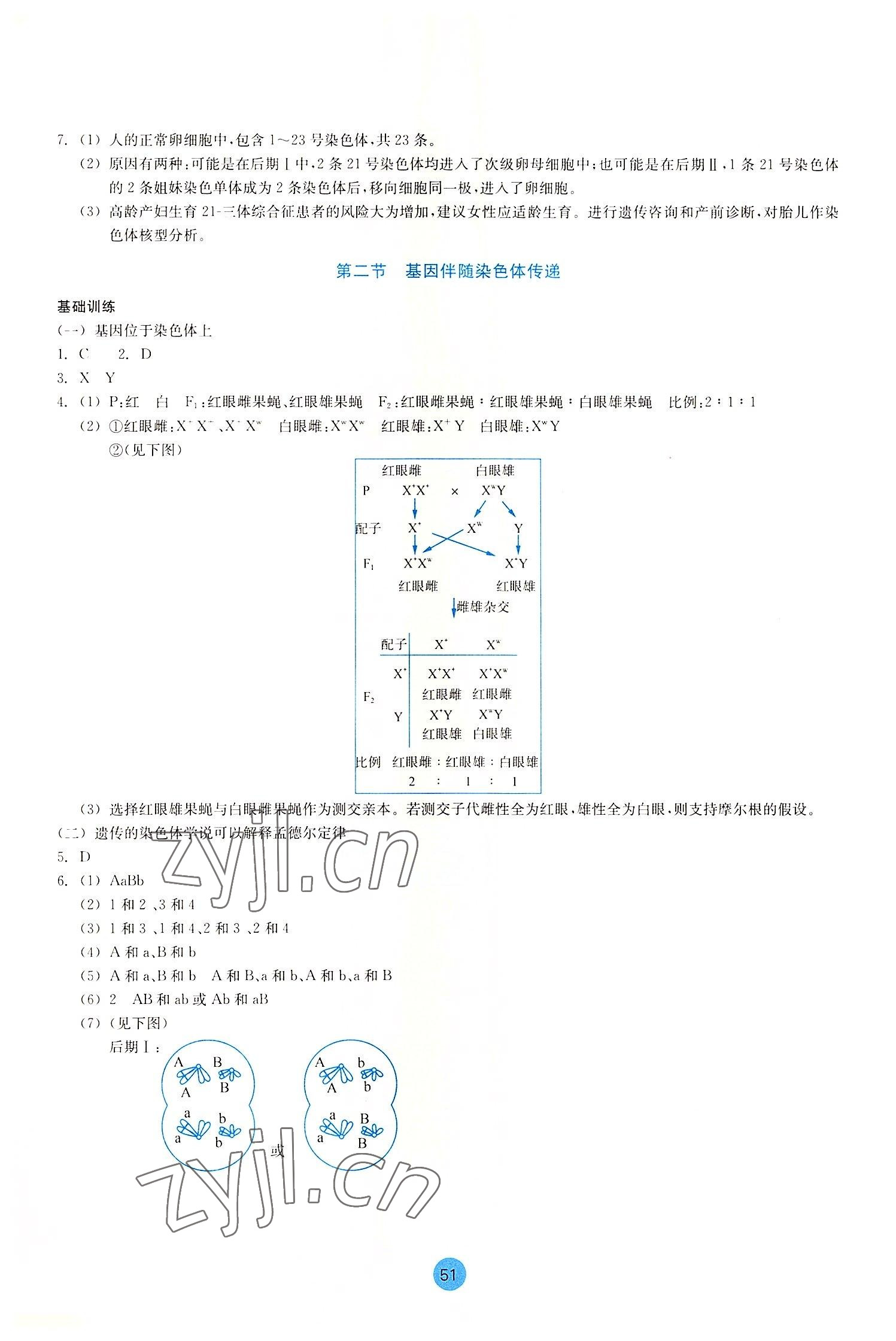 2022年作業(yè)本浙江教育出版社高中生物必修2 參考答案第3頁