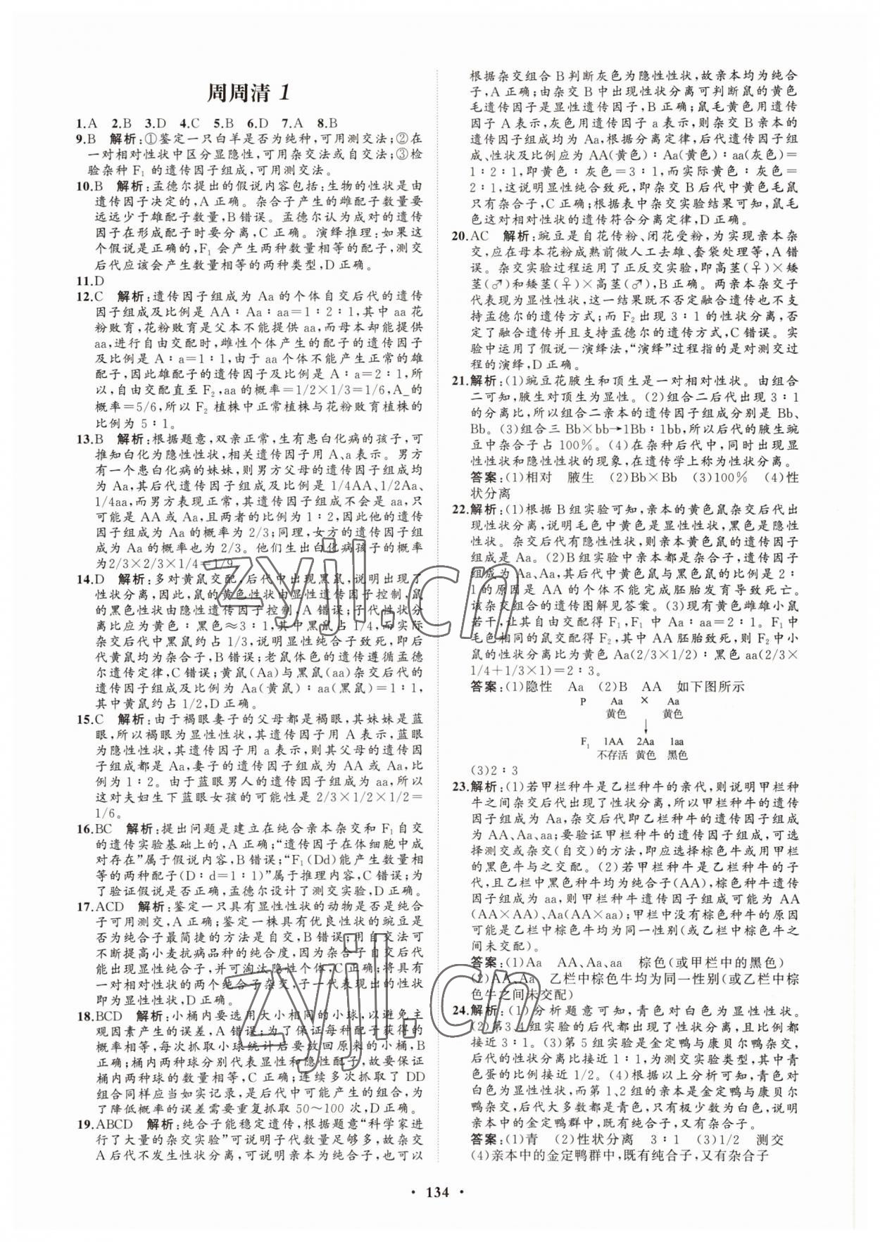 2022年高中同步練習(xí)冊分層檢測卷生物必修2人教版 參考答案第6頁