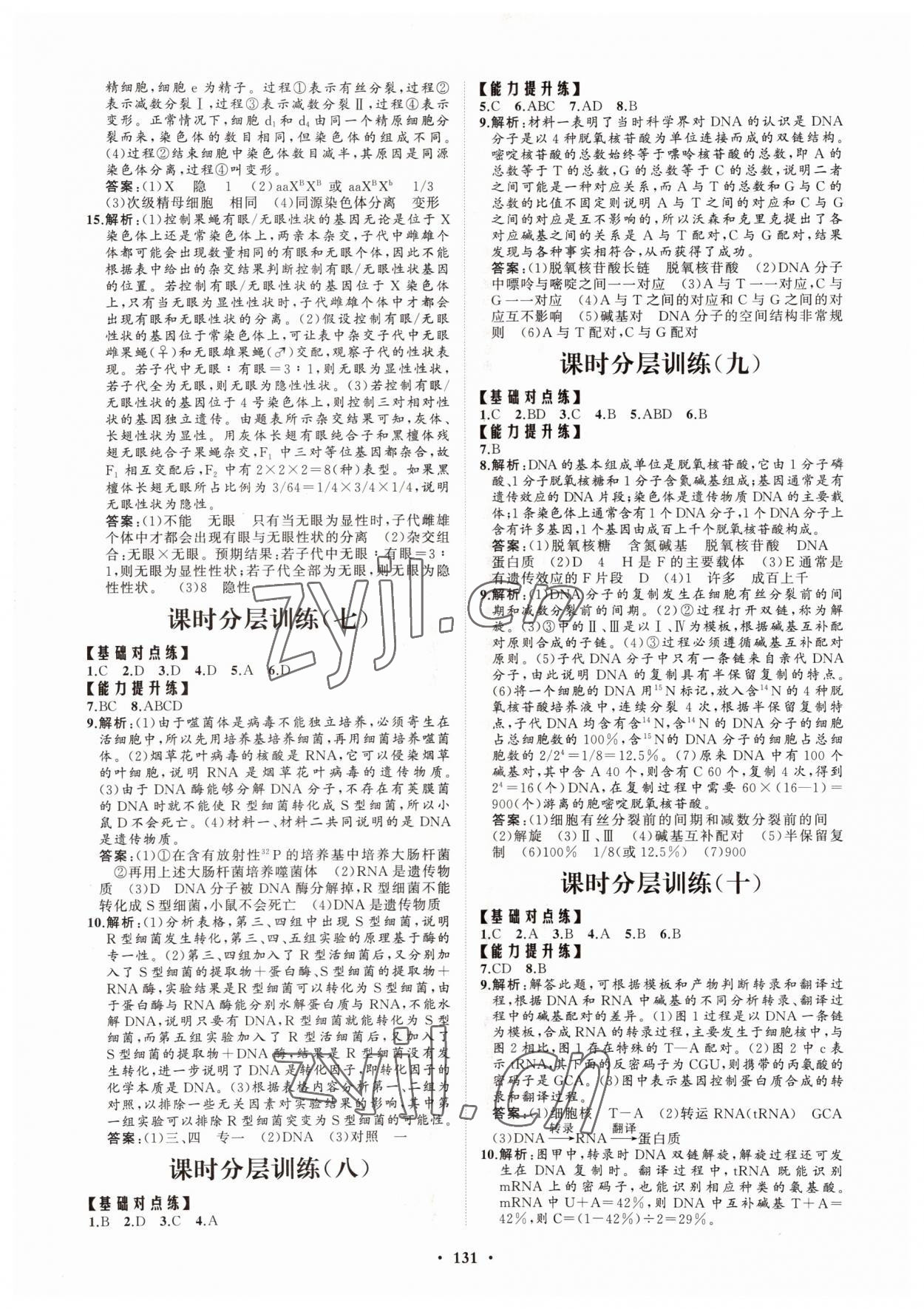 2022年高中同步練習(xí)冊分層檢測卷生物必修2人教版 參考答案第3頁