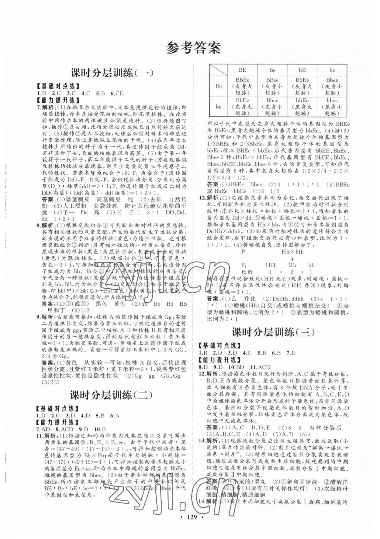 2022年高中同步練習(xí)冊分層檢測卷生物必修2人教版 參考答案第1頁