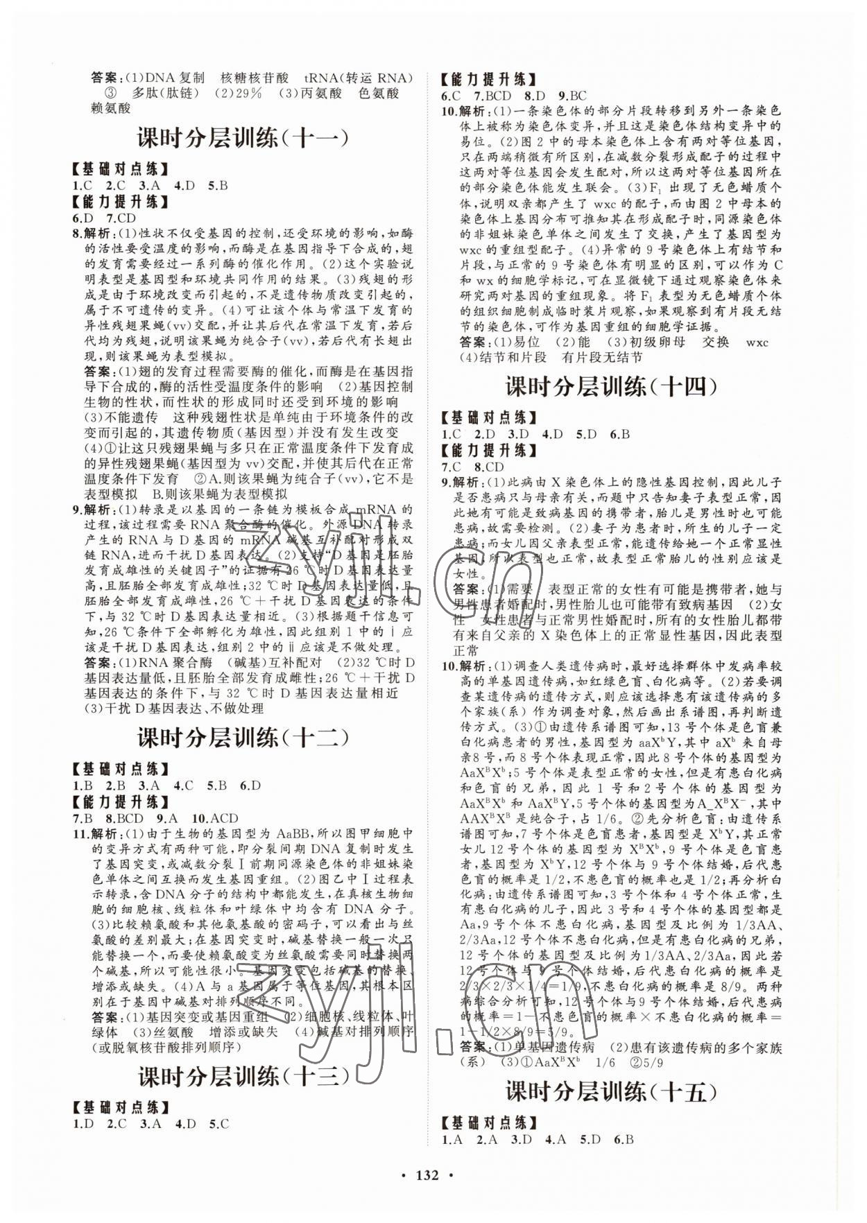 2022年高中同步練習冊分層檢測卷生物必修2人教版 參考答案第4頁