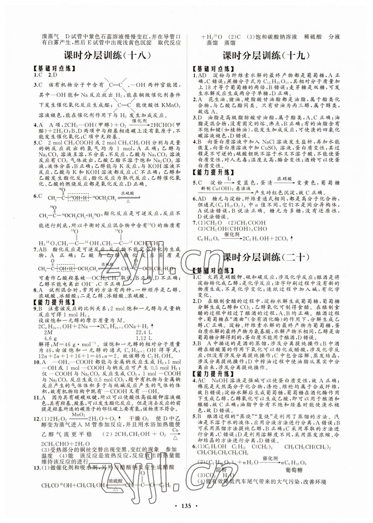 2022年高中同步練習(xí)冊(cè)分層檢測(cè)卷化學(xué)必修第二冊(cè)魯科版 參考答案第7頁(yè)